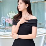 Han Hyo-joo