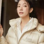 Han Hyo-joo