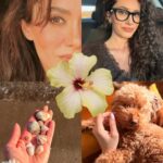 Hande Do?andemir
