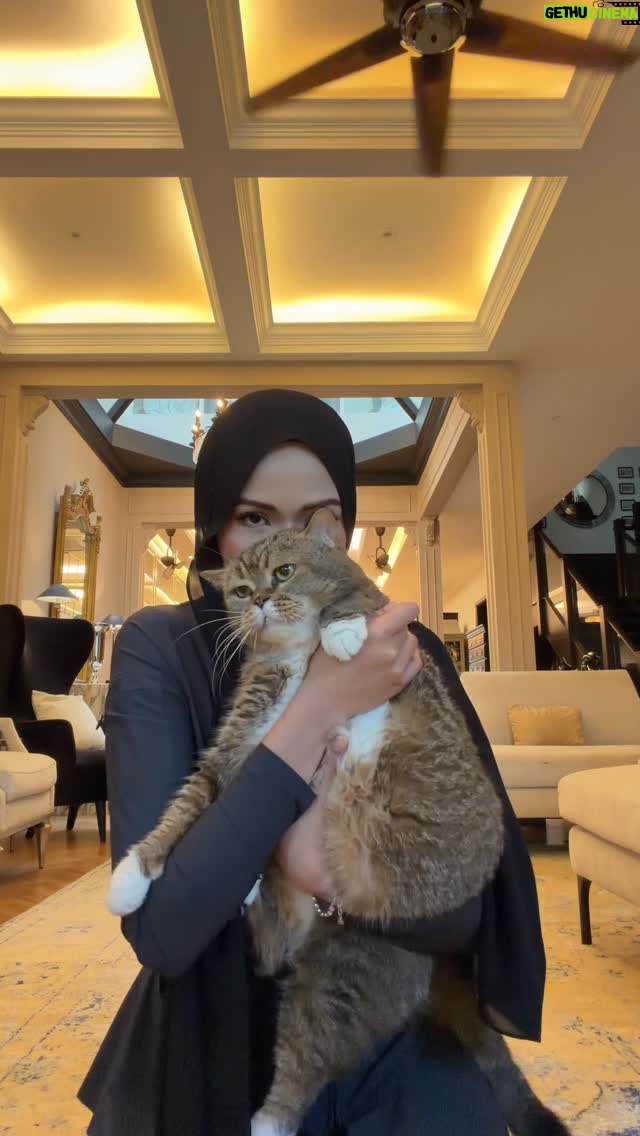 Hanis Zalikha - 128.3K Likes - Happy 11th birthday my baby boy. I have loved you since the first day I named you. A little birthday trivia: Bujibu was the most darling name I could think of that ends with a ‘u’. Growing up with cats we figured out cats respond best to names that end with either a ‘u’ or ‘i’. But we also kept your Russian last name. 

Kekasih hati Mommy yang sentiasa ada menempel, my Bujibu Chempel.
