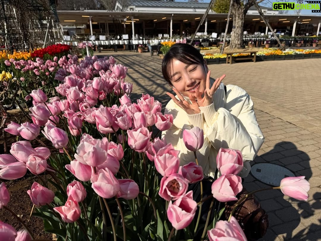 Haru - 69.5K Likes - 🌷
春を感じに出かけた日。
また寒くなってるから、みんなあったかくね！
2枚目の写真、どこにいるでしょうか？💐