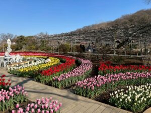 Haru Instagram - 🌷
春を感じに出かけた日。
また寒くなってるから、みんなあったかくね！
2枚目の写真、どこにいるでしょうか？💐