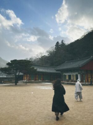 Hebe Tien Fu-chen Instagram - 白羊寺🤍🙏🏽
因為正寬法師的寺廟料理，而有機緣造訪白羊寺，幸運待上幾天。體驗四點晨起，晚上九點熄燈就寢，餐餐茹素的寺廟生活。
世界寂靜到可以聽見雪落下的聲音了，白雪皚皚，滿天星斗，零下七度（體感負十五度），天未亮便起身，摸黑去做早課，靜心冥想。
遵循著自然法則生活，也被大自然擁抱滋養。
月亮、星辰、陽光、好山、好水、好雪，好感激。

在一年的尾聲，用喜歡的方式，讓心安靜下來，好好感謝這一年的所遇見的。真幸福。🤍