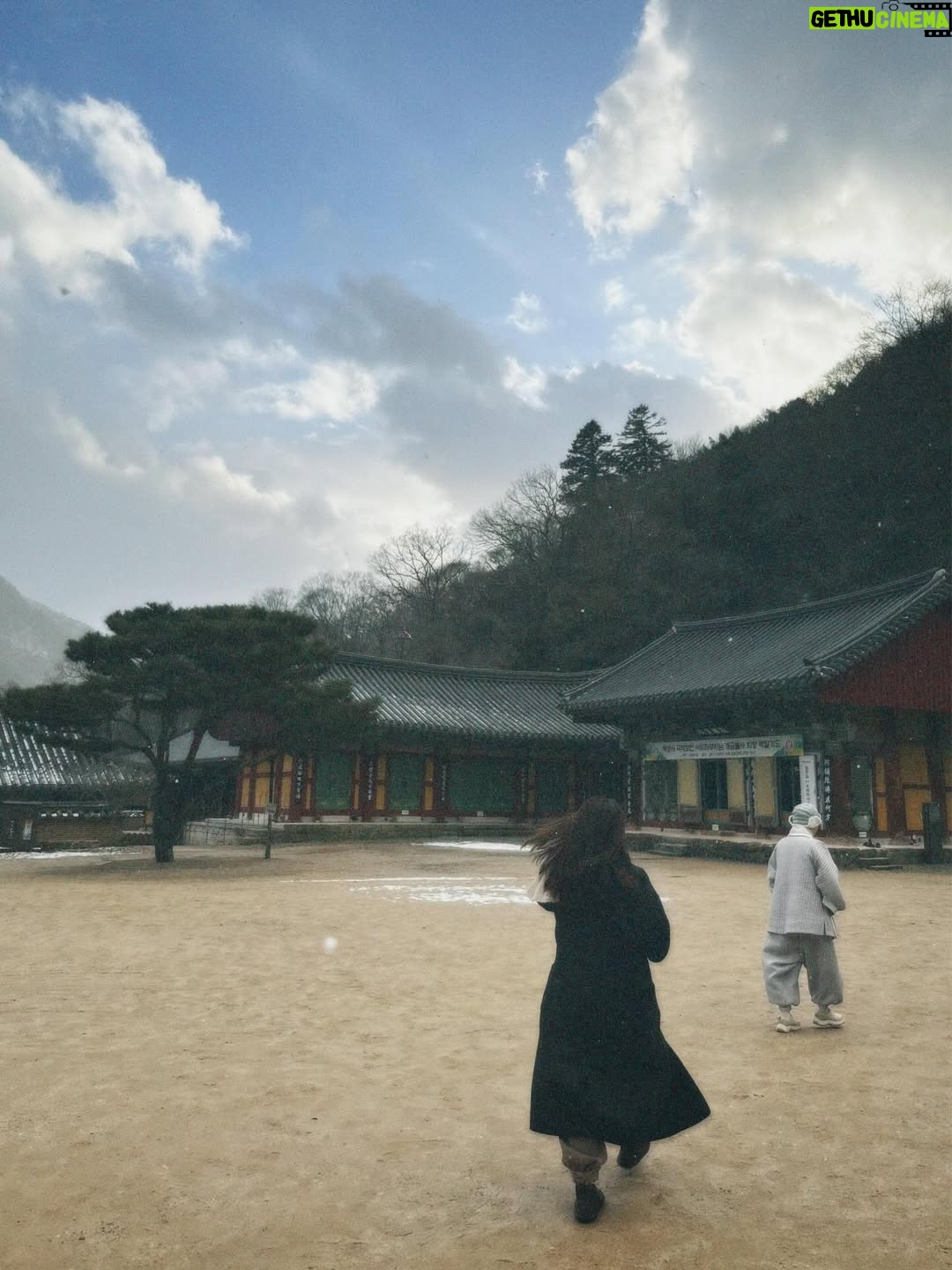 Hebe Tien Fu-chen - 115K Likes - 白羊寺🤍🙏🏽
因為正寬法師的寺廟料理，而有機緣造訪白羊寺，幸運待上幾天。體驗四點晨起，晚上九點熄燈就寢，餐餐茹素的寺廟生活。
世界寂靜到可以聽見雪落下的聲音了，白雪皚皚，滿天星斗，零下七度（體感負十五度），天未亮便起身，摸黑去做早課，靜心冥想。
遵循著自然法則生活，也被大自然擁抱滋養。
月亮、星辰、陽光、好山、好水、好雪，好感激。

在一年的尾聲，用喜歡的方式，讓心安靜下來，好好感謝這一年的所遇見的。真幸福。🤍