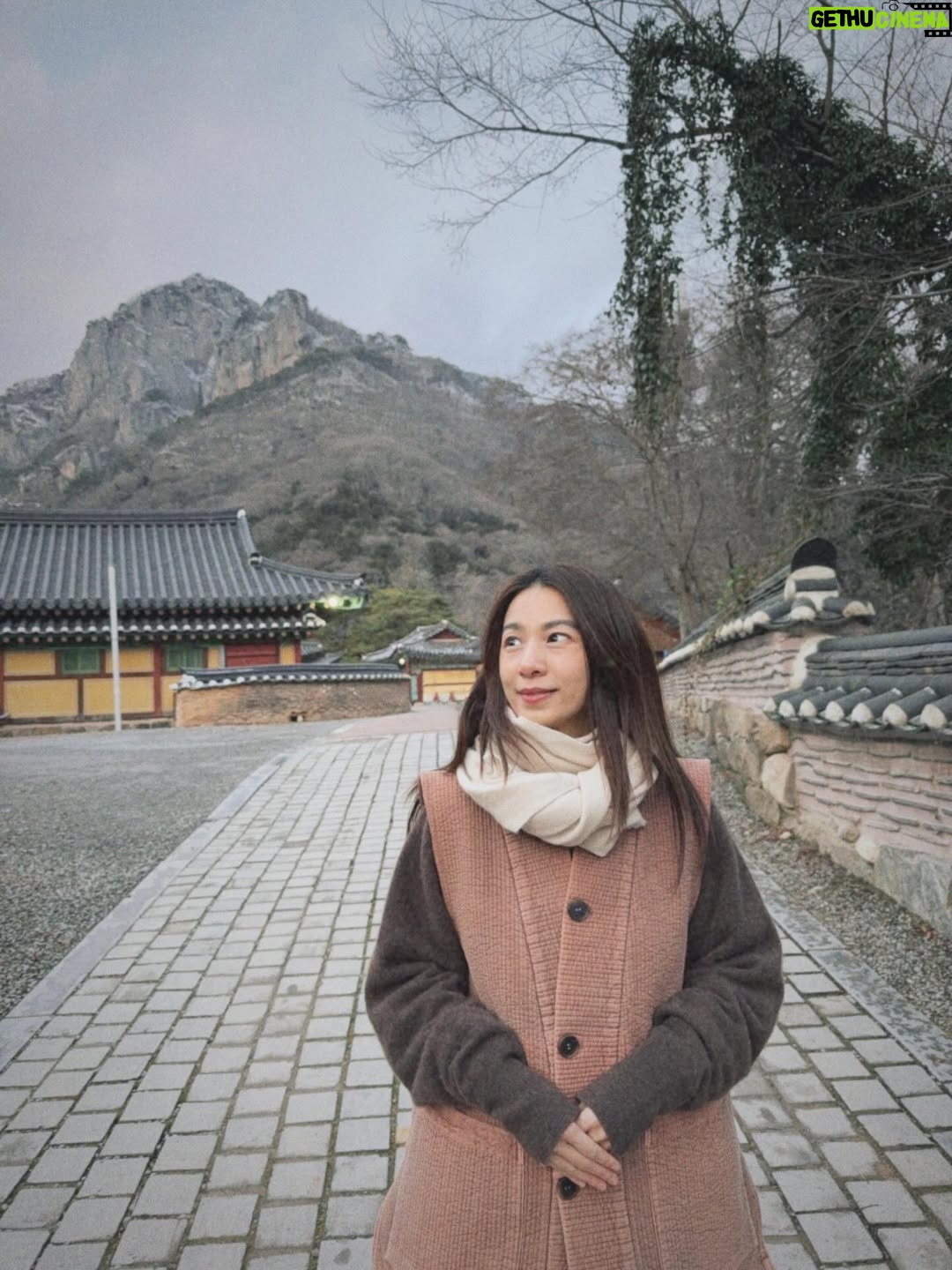 Hebe Tien Fu-chen - 115K Likes - 白羊寺🤍🙏🏽
因為正寬法師的寺廟料理，而有機緣造訪白羊寺，幸運待上幾天。體驗四點晨起，晚上九點熄燈就寢，餐餐茹素的寺廟生活。
世界寂靜到可以聽見雪落下的聲音了，白雪皚皚，滿天星斗，零下七度（體感負十五度），天未亮便起身，摸黑去做早課，靜心冥想。
遵循著自然法則生活，也被大自然擁抱滋養。
月亮、星辰、陽光、好山、好水、好雪，好感激。

在一年的尾聲，用喜歡的方式，讓心安靜下來，好好感謝這一年的所遇見的。真幸福。🤍