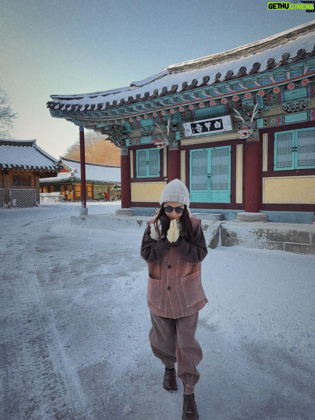 Hebe Tien Fu-chen - 115K Likes - 白羊寺🤍🙏🏽
因為正寬法師的寺廟料理，而有機緣造訪白羊寺，幸運待上幾天。體驗四點晨起，晚上九點熄燈就寢，餐餐茹素的寺廟生活。
世界寂靜到可以聽見雪落下的聲音了，白雪皚皚，滿天星斗，零下七度（體感負十五度），天未亮便起身，摸黑去做早課，靜心冥想。
遵循著自然法則生活，也被大自然擁抱滋養。
月亮、星辰、陽光、好山、好水、好雪，好感激。

在一年的尾聲，用喜歡的方式，讓心安靜下來，好好感謝這一年的所遇見的。真幸福。🤍