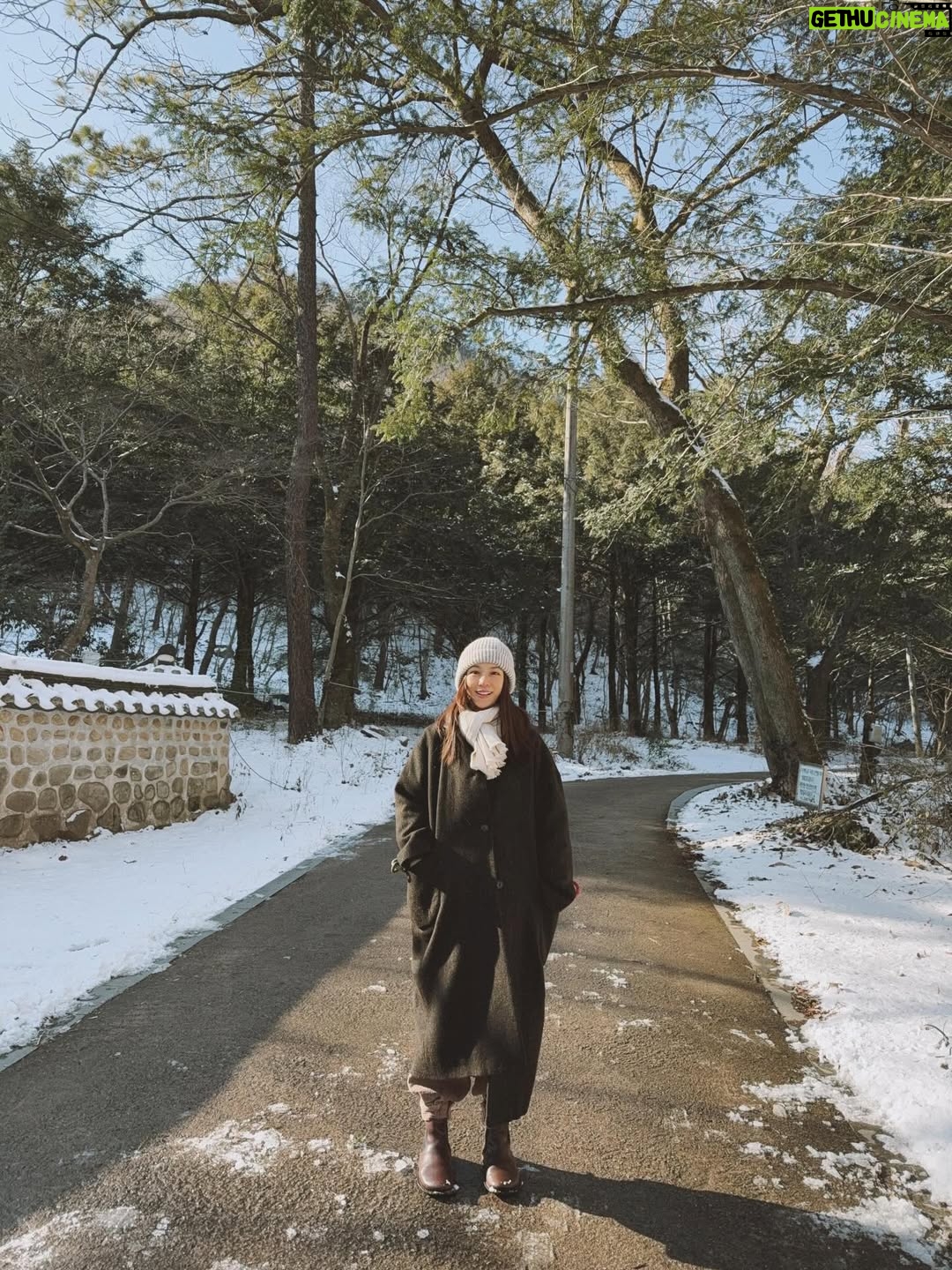 Hebe Tien Fu-chen - 115K Likes - 白羊寺🤍🙏🏽
因為正寬法師的寺廟料理，而有機緣造訪白羊寺，幸運待上幾天。體驗四點晨起，晚上九點熄燈就寢，餐餐茹素的寺廟生活。
世界寂靜到可以聽見雪落下的聲音了，白雪皚皚，滿天星斗，零下七度（體感負十五度），天未亮便起身，摸黑去做早課，靜心冥想。
遵循著自然法則生活，也被大自然擁抱滋養。
月亮、星辰、陽光、好山、好水、好雪，好感激。

在一年的尾聲，用喜歡的方式，讓心安靜下來，好好感謝這一年的所遇見的。真幸福。🤍