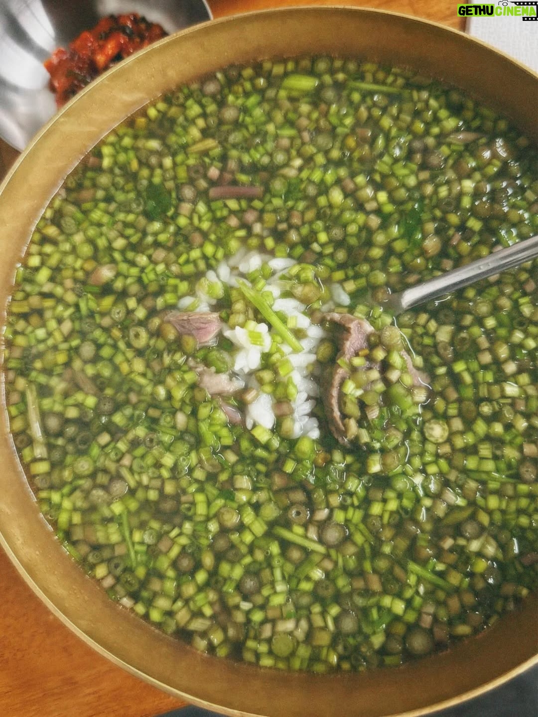 Hebe Tien Fu-chen - 159.6K Likes - 🍴人間煙火🥢Just Do Eat🐽

因為體驗白羊寺的行程，讓我有機會人生第一次到首爾。
記得上一次到韓國是國小時期了，當時的首爾還稱爲漢城。（我的天😮竟然是經歷過漢城時代的長輩了 ！哈哈！我是古人嗎！👲🏻）

首次的首爾行，美食清單當然要一一✔️
雪濃湯✔️
烤豬五花✔️
水芹牛肉湯✔️
蔘雞湯✔️
Twelve 蔬果汁✔️
烤韓牛✔️
菜包肉✔️
韓式炸雞✔️
Zest🍸✔️
🥐☕️🍓…

喜歡山林的簡單樸素和寧靜；
也開心體驗都市叢林裡，
眼耳鼻舌口忙著被誘惑的豐盛。

🎤心裡不住唱起<人間煙火>：
感謝老天周到款待我
我作了什麼 能這樣享受
.
.
.
每天
嘗試什麼 探索什麼 新鮮我
咀嚼什麼 消化什麼 美麗我
食人間煙火 作完整的我
擁抱什麼 捨棄什麼 圓滿我
去作什麼 不作什麼 成熟我
這人間煙火 要盡情揮霍
這種幸福不愧疚

這人間煙火享受得開心又感激！😋