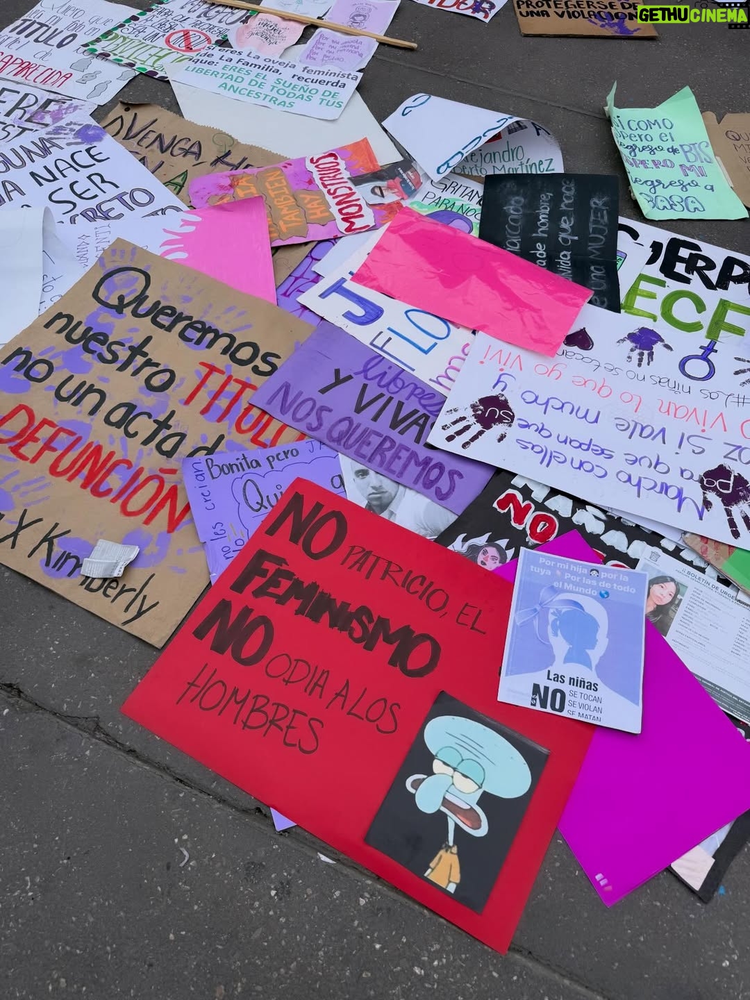 Herly RG - 113.7K Likes - Lo sanador que fue marchar con mi mamá 😭❤️‍🩹 que el privilegio no nos nuble la empatía, ¡MUJER ESCUCHA ESTA ES TU LUCHA! necesitamos seguir alzando la voz por ti, por todas, por nosotras 💜💚