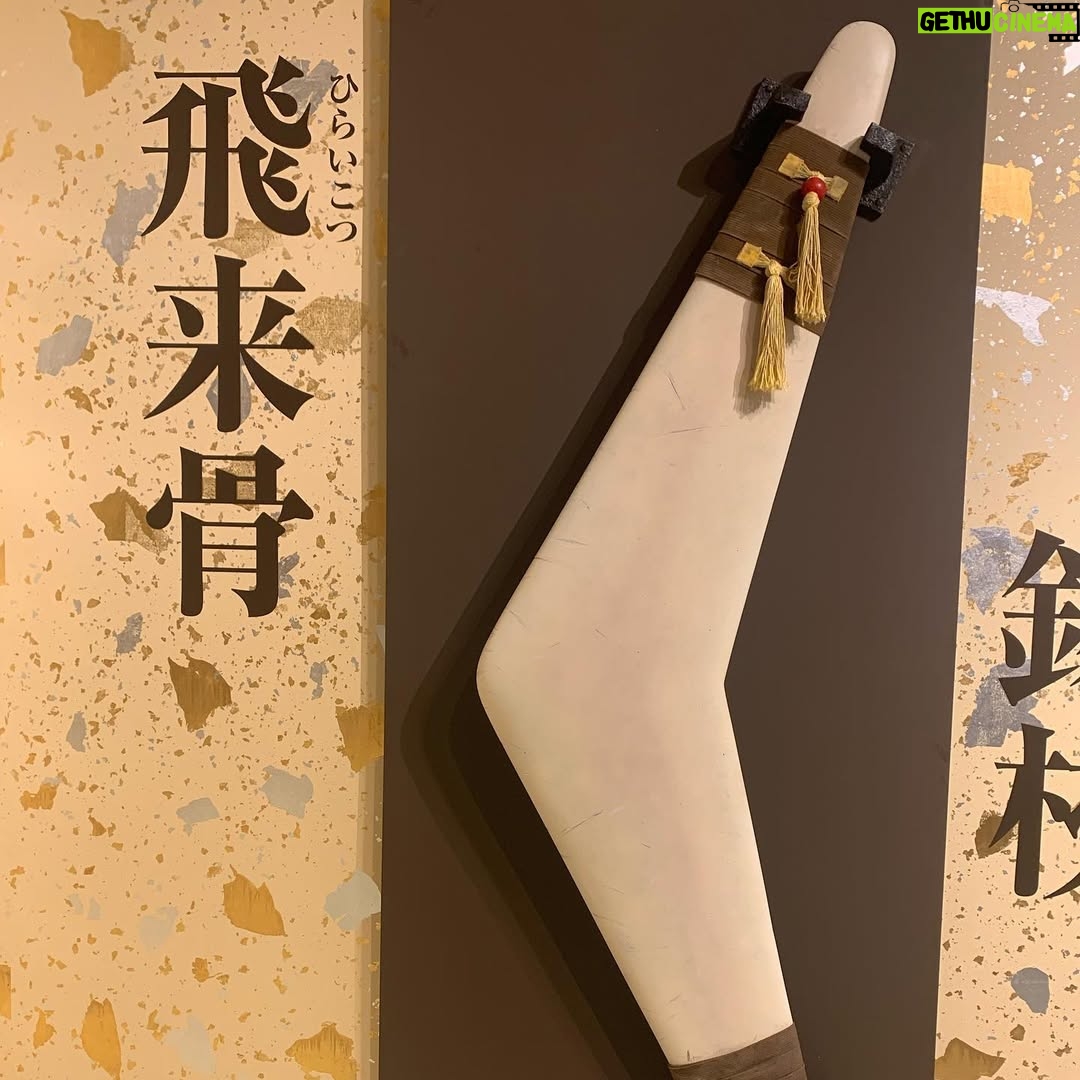Hikaru Aoyama - 7.1K Likes - 全くオタ活を上げてなかったので
今上げます🙋‍♀️🙋‍♀️🙋‍♀️
先日、事務所の後輩霜月めあ @meameachan と犬夜叉＆夜叉姫のアニメ軌跡展に〜🌟😉
．
．
2人してるーみっくわーるど好きだし
犬夜叉が、1番ささる世代なので
これは行かなければ、、！となりました☺️🤟
．
．
撮影OKな場所がほぼ全部！www
素晴らしすぎましたし、こうみんなが選ぶ〇〇！っていうのが
本当にありがとう🙏😭ってなった…！
殺生丸とりんちゃんの出会いとか本当に泣ける😂😂
ロリコン殺生丸が始まったのはここだ←
ってなったな〜。めっちゃ懐かしんだ👏👏
．
犬夜叉の( ˘༥˘ )ｽﾔ顔が本当に素敵すぎて、、、おかん似…かわゆ🤤←
再度、犬夜叉が可愛く見えてきました。
二股はあかんけどな😠笑←
．
めあがりんちゃん目線の殺生丸さまを撮っててさすがオタク👏ってなりました。笑
すんごいわかる。←
ね？これわかる人わかるよね？？？ww
私はかごめちゃん目線したので←
．
．
展示が素晴らしすぎました。🥰🥰
飛来骨も、当時好きすぎてちょっと曲がってる木の枝とか
拾って投げてた記憶(ちゃんと広いところで誰にも当たらずに)
．
．
グッズもめちゃくちゃあって、迷いましたが
なんとか厳選して買いました✊
詳しくはTikTokを見てください笑
．
．
まじいっぱい買ってしまったなー。
って思ってたけど
めあが倍買ってたので😇ワロタ
．
オタ活楽しすぎた🤟やっぱり最高やんなオタク！！！
．
．
さて、次回はナディア展のことを更新しますか😆🙏←
9月は、2回も展示会に行ってて
出費が凄かったです💸ｼｬｰﾅｲ
これがオタ活😏✌️
．
#犬夜叉夜叉姫展に行ってきました 
#犬夜叉アニメの軌跡展 
#犬夜叉は青春 
#るーみっくわーるど 
#BOX買いたい人生 #頑張って買うわ