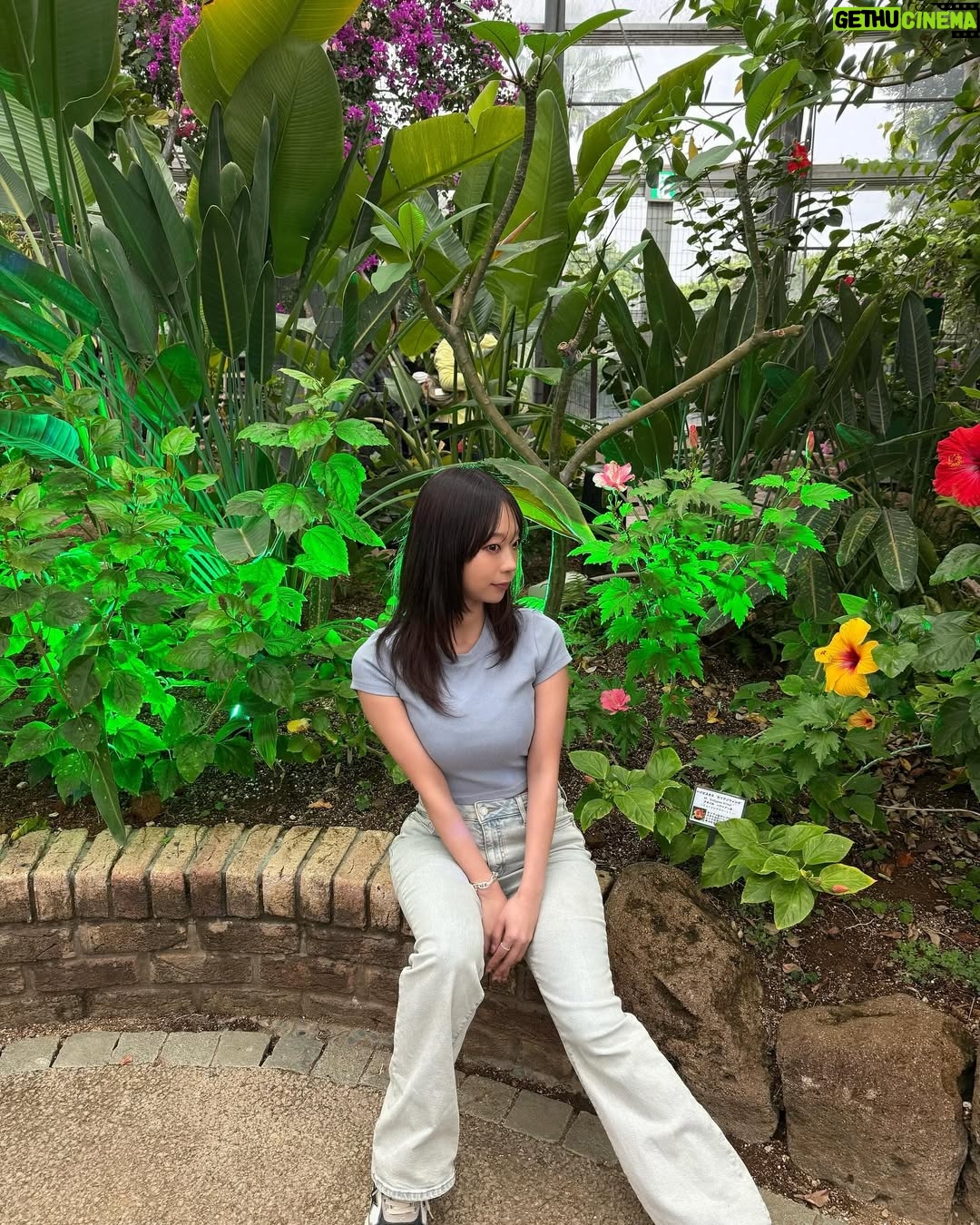 Hikaru Aoyama - 10.1K Likes - いなプーフォトフェス2025
Day1、ありがとうございましたございました♡

終わったあとに、ボタニカルミュージアムに行ってきてみた💐🌺🪻

#稲毛海浜公園 

また明日もよろしくお願いいたします🐣