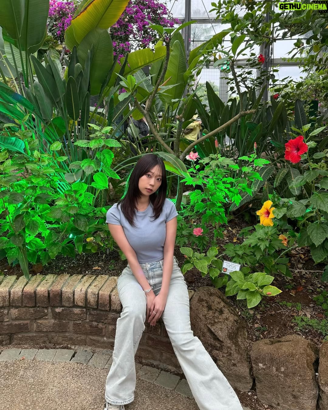 Hikaru Aoyama - 10.1K Likes - いなプーフォトフェス2025
Day1、ありがとうございましたございました♡

終わったあとに、ボタニカルミュージアムに行ってきてみた💐🌺🪻

#稲毛海浜公園 

また明日もよろしくお願いいたします🐣
