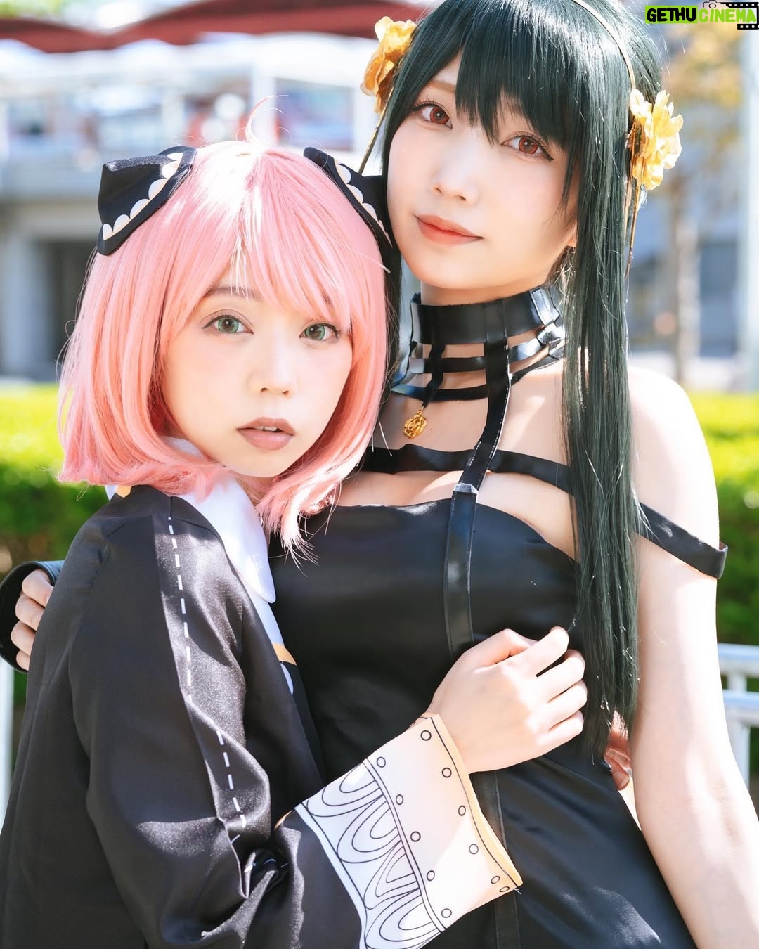 Hikaru Aoyama - 9.1K Likes - #ニコニコ超会議2022 プライベートで
めあ @meameachan と2日間参戦してきました🫡✨
．
3年ぶりのニコニコ超会議！
私、、、めちゃくちゃ久しぶりにニコ超行きましたわ🥲
本当に懐かしかったし、なんかちょっと文化祭感があって
これぞ、ニコニコ…！という感じが大好き。
楽しかったです🥰🥰
．
1日目は、生憎の雨でしたが
かごめともろは！
ずぶ濡れになりながらwww
おかげさまで(悪い意味で)、ビーサンで靴擦れ？になりました🤣
もうあのビーサンは、履かない😇😇
．
2日目は、やっぱり土曜日ということもあり
人が多かったですね〜！
色んな人がいました()
ヨルさんとアーニャ！！
2人揃ってはなかなか居なかったぽいので
列が長かったらしい🥹🥹ありがと💖
あと、めあのヨルさん最高やんな。わかるわかる
2日間続けて、めあと親子コスプレしてました草
．
．
久しぶりのプライベートでコスプレも
イベントも楽しめて本当に最高だった〜🙏✨
そして、久しぶりの大規模イベント！
これも嬉しいですね〜
また、これからもコスプレ頑張っていくぞ💪💪
．
来てくれた方、撮影してくれた方
本当にありがとうございましたっ！
．
めあも2日間一緒でありがとね🫰💖
．
久しぶりのオタ活最高でした☺️☺️☺️☺️
．
．
#ニコニコ超会議 
#ニコニコ超会議コスプレ #コスプレ #半妖の夜叉姫 #もろは #犬夜叉 #かごめ #スパイファミリー #ヨル #アーニャ