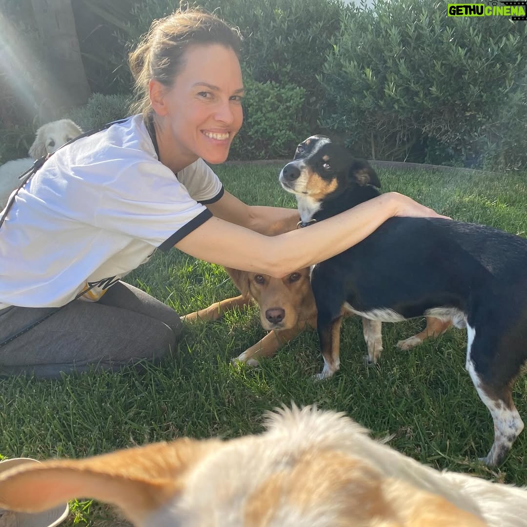 Hilary Swank - 206.4K Likes - So this happened and it was unexpected… Although any soul transition seems unexpected, doesn’t it? Even if you have time to process it, long before it happens. It still feels sudden. And surreal. And ever so heartbreaking. Please help me in saying goodbye to our dear four-legged family member, Kai. 
He was a such a good boy, and if there’s one thing he’ll always be remembered for, it was his sneaky way of becoming everyone’s favorite, when you least expected it. 💘
You will be missed beyond measure. Thank you for being next to me, so steadfast, through so many years and so many transitions. I love you, always and forever. 
See you later, my boy with the polka dot feet and polka dot belly. 🐾🌈🐶
