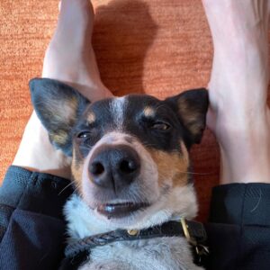 Hilary Swank Instagram - So this happened and it was unexpected… Although any soul transition seems unexpected, doesn’t it? Even if you have time to process it, long before it happens. It still feels sudden. And surreal. And ever so heartbreaking. Please help me in saying goodbye to our dear four-legged family member, Kai. 
He was a such a good boy, and if there’s one thing he’ll always be remembered for, it was his sneaky way of becoming everyone’s favorite, when you least expected it. 💘
You will be missed beyond measure. Thank you for being next to me, so steadfast, through so many years and so many transitions. I love you, always and forever. 
See you later, my boy with the polka dot feet and polka dot belly. 🐾🌈🐶
