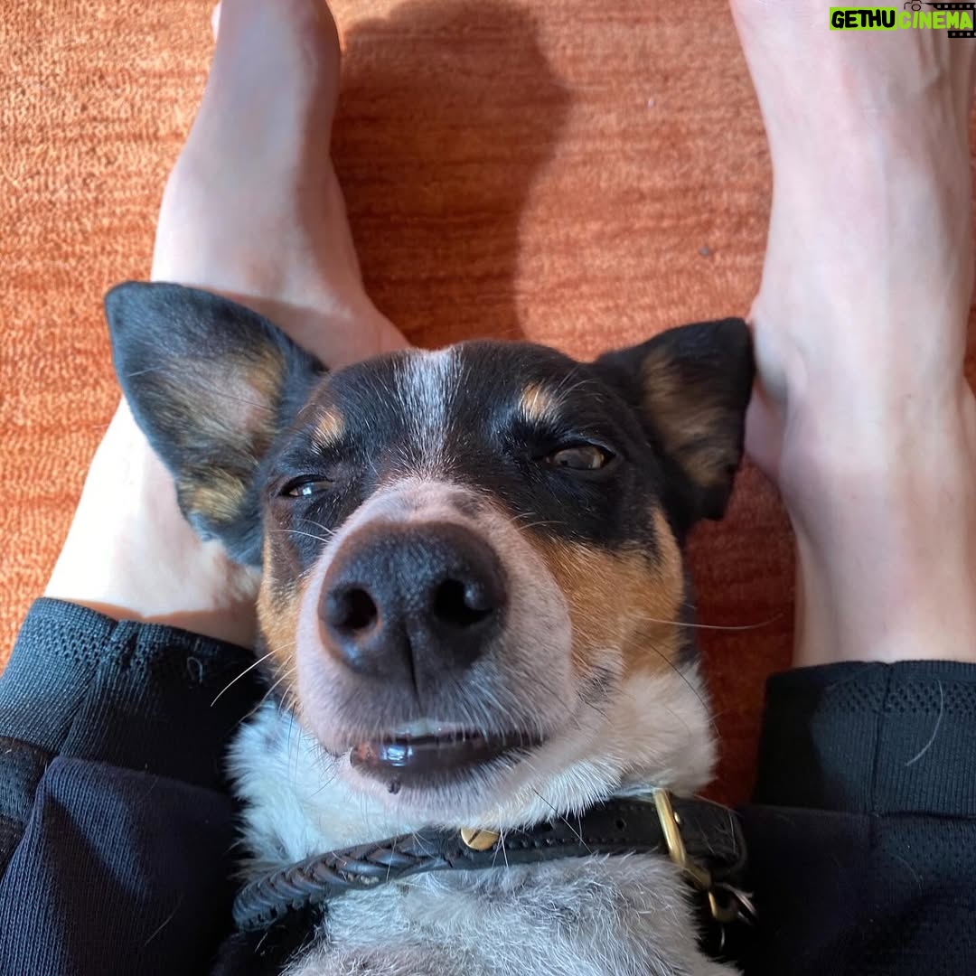Hilary Swank - 206.4K Likes - So this happened and it was unexpected… Although any soul transition seems unexpected, doesn’t it? Even if you have time to process it, long before it happens. It still feels sudden. And surreal. And ever so heartbreaking. Please help me in saying goodbye to our dear four-legged family member, Kai. 
He was a such a good boy, and if there’s one thing he’ll always be remembered for, it was his sneaky way of becoming everyone’s favorite, when you least expected it. 💘
You will be missed beyond measure. Thank you for being next to me, so steadfast, through so many years and so many transitions. I love you, always and forever. 
See you later, my boy with the polka dot feet and polka dot belly. 🐾🌈🐶