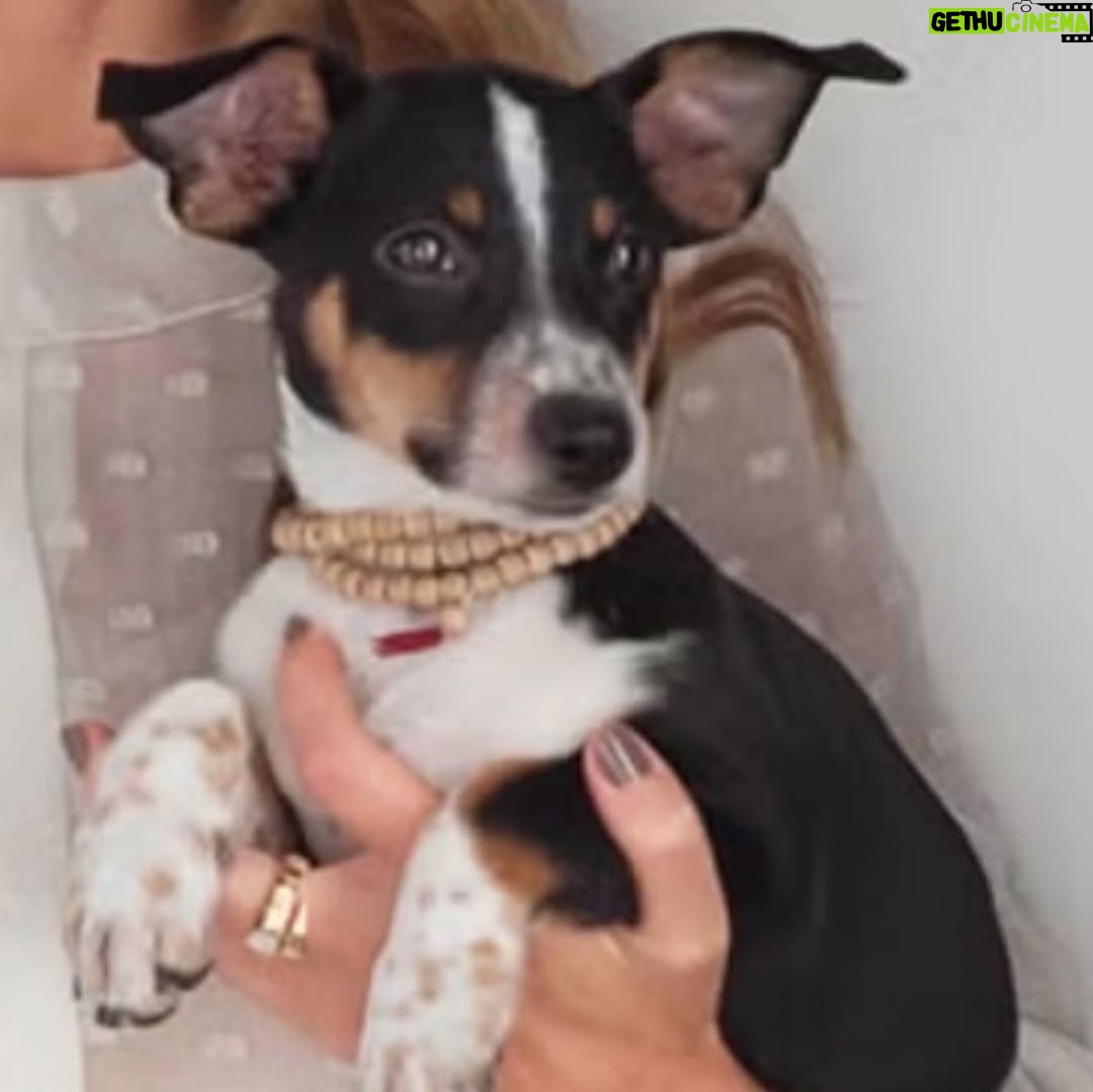 Hilary Swank - 206.4K Likes - So this happened and it was unexpected… Although any soul transition seems unexpected, doesn’t it? Even if you have time to process it, long before it happens. It still feels sudden. And surreal. And ever so heartbreaking. Please help me in saying goodbye to our dear four-legged family member, Kai. 
He was a such a good boy, and if there’s one thing he’ll always be remembered for, it was his sneaky way of becoming everyone’s favorite, when you least expected it. 💘
You will be missed beyond measure. Thank you for being next to me, so steadfast, through so many years and so many transitions. I love you, always and forever. 
See you later, my boy with the polka dot feet and polka dot belly. 🐾🌈🐶