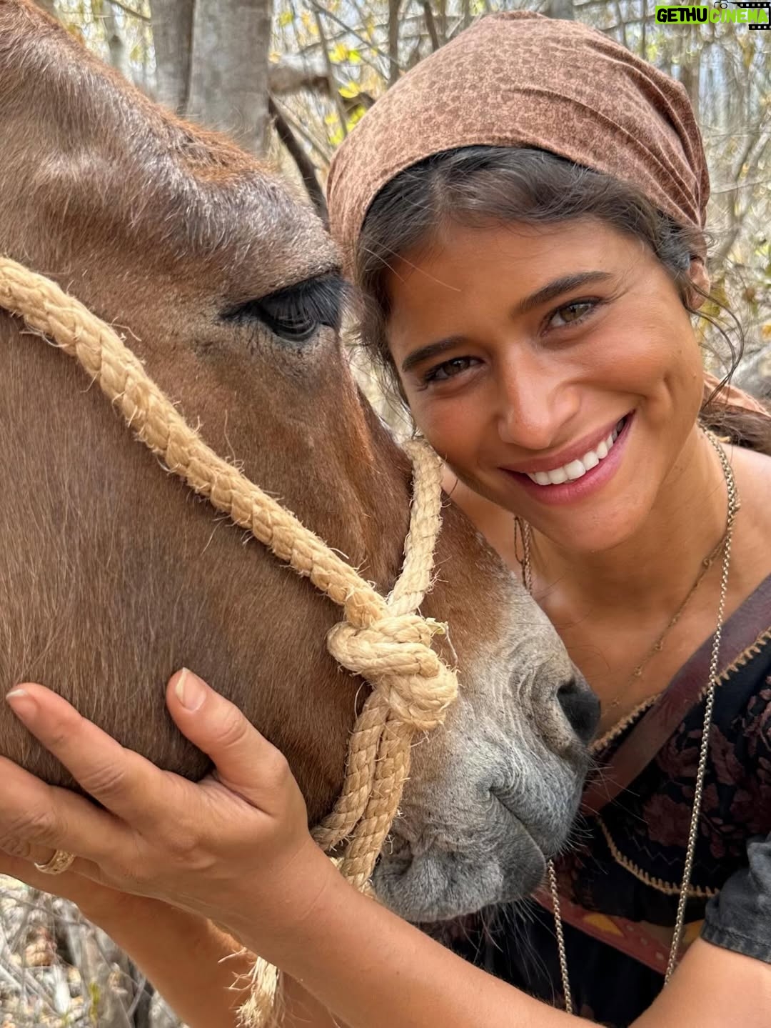 Isadora Cruz - 34.3K Likes - Guerreiros do Sol venceu o @apcapremio de melhor novela e Irandhivo @irandhirsan melhor ator por Arduíno. Que orgulho imenso da gente ❤️ que honra ter vivido essa história épica, passado por muitas coisas inesquecíveis através de Rosa, pisado naquela terra sagrada, conectado com a minha ancestralidade, aprendido tanto com meus parceiros de cena e amigos pra vida e representado todas as guerreiras sertanejas que lutam até hoje para serem livres. 

Gratidão a equipe incansável que ficava debaixo daquele Sol guerrilhando junto, ao elenco que virou família, à natureza que nos deu licença para entrar e sair, ao Sertão que nos abençoou, a Papinha que nos dirigiu brilhantemente e aos autores George e Sergio que escreveram as palavras mais lindas que já saíram da minha boca. Serei eternamente grata por tanto, por tudo, por cada segundo vivendo esse sonho. @globoplay @tvglobo