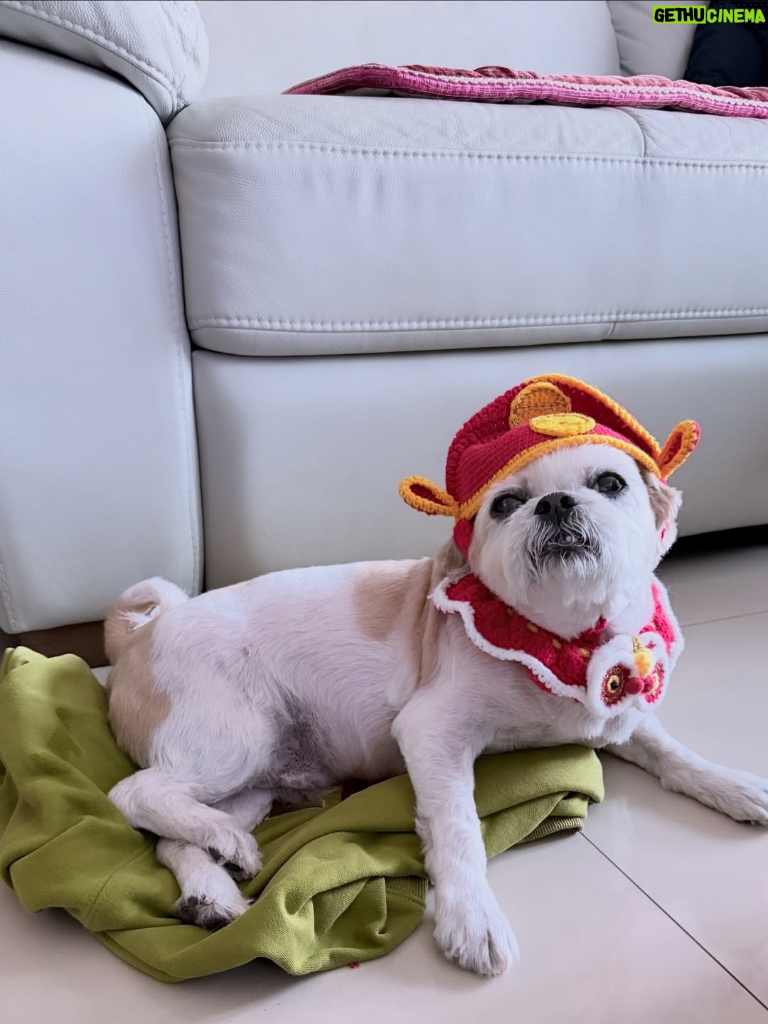Ivy Shao - 50.5K Likes - 財神到
新年快樂🎉