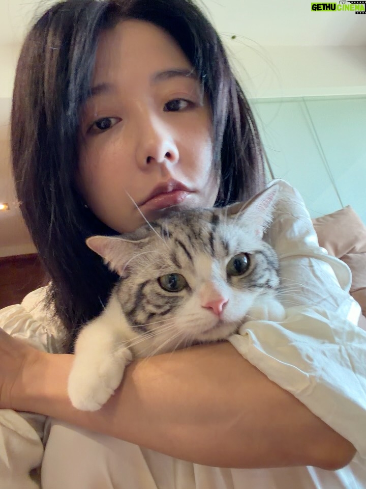 Ivy Shao - 41.2K Likes - 玩了一個早上🐱
新年快樂
喵咪馬尼Home✨