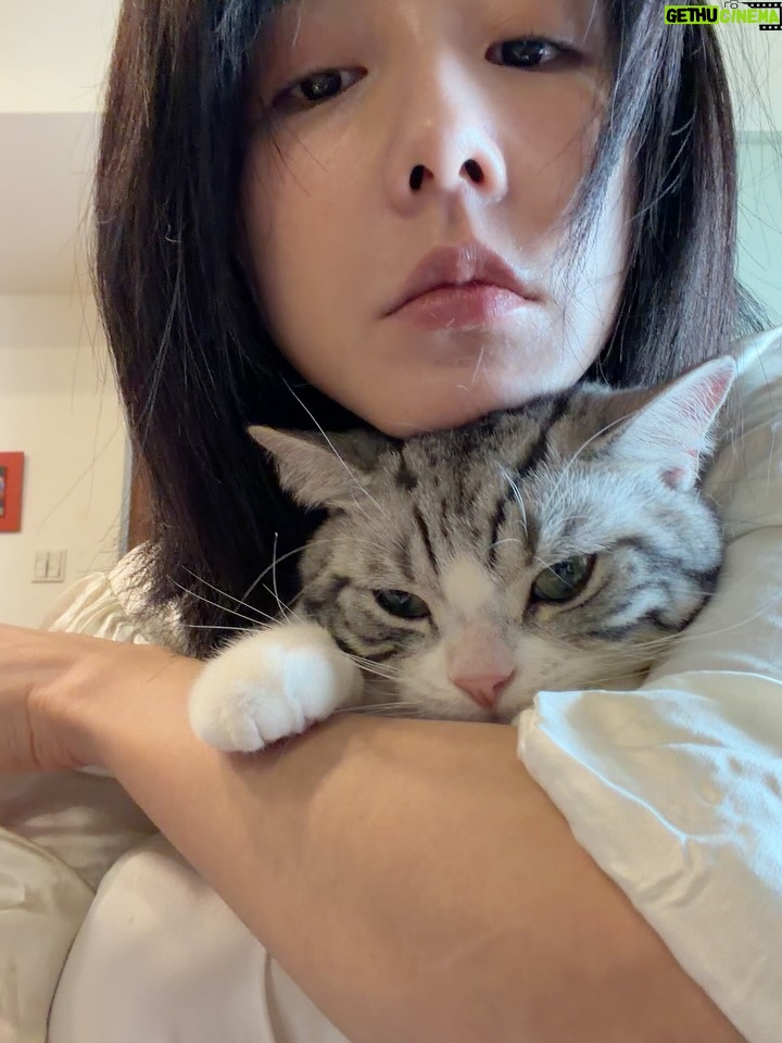 Ivy Shao - 41.2K Likes - 玩了一個早上🐱
新年快樂
喵咪馬尼Home✨