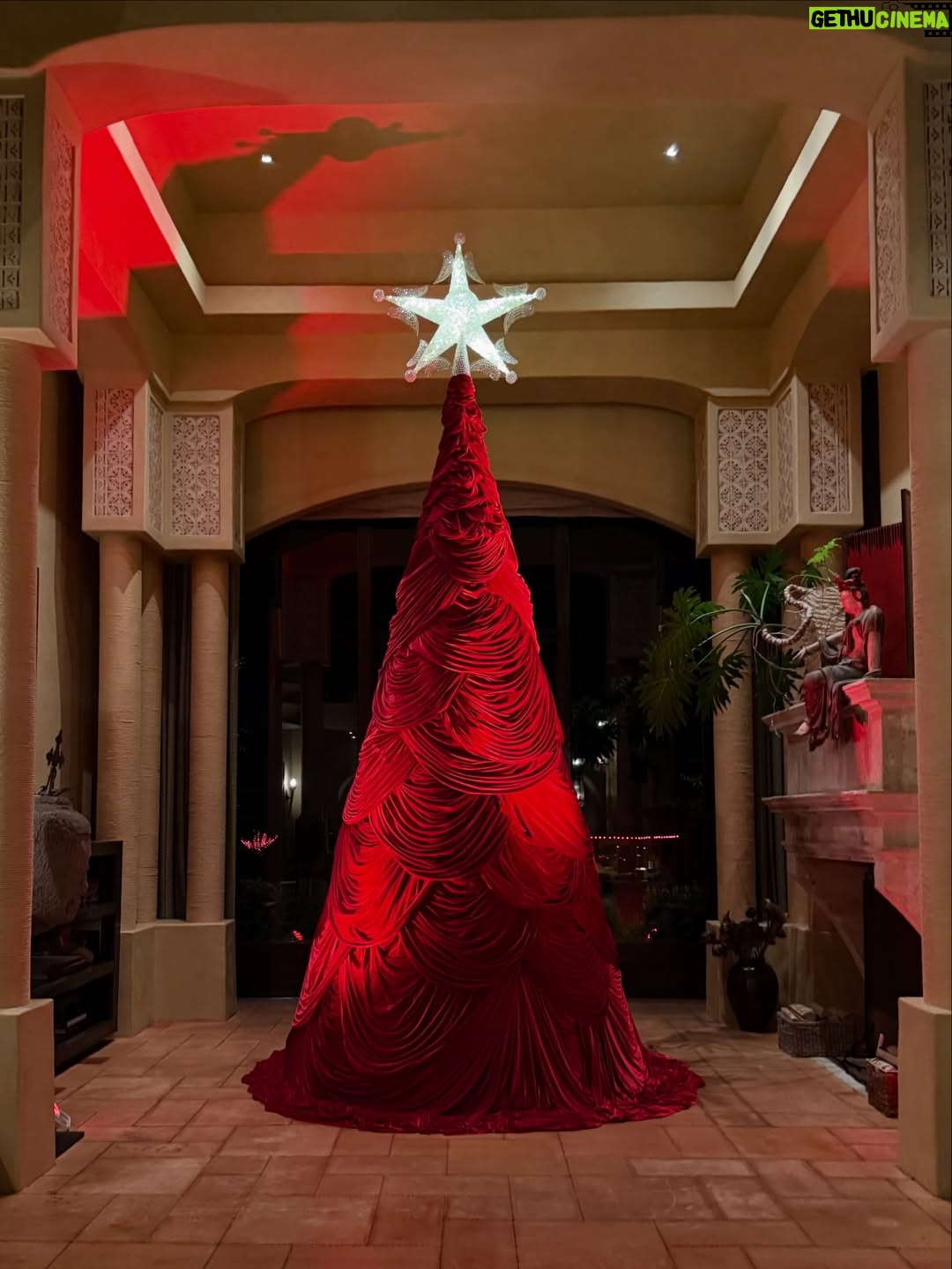 Jada Pinkett Smith - 52.1K Likes - This year will be a very velvety Christmas 🎄✨ #Christmas2025 #VelvetChristmasTree #HolidayInteriors #HolidayMagic