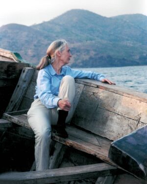 Jane Goodall Instagram - "The best advice I ever received was from my mother. She said: 'If you really want something, you have to work hard, take advantage of every opportunity, and never give up.'" - Dr. Jane Goodall, DBE

When young Jane dreamed of going to Africa to study animals, so many people told her it was impossible, dismissing her as, in Jane's words, "just a girl." But not her mother, Vanne. Jane often credited her mother's endless support as the reason she pursued her passion.

Jane went on to change science with her observations that chimpanzees make and use tools. At the time, it wasn't just remarkable for a woman to be in the field, studying wild animals as they lived — this practice of patient observation was virtually unheard of until Jane blazed the trail.

Today, countless scientists and conservationists credit Jane for inspiring their work, including so many women who saw themselves in Jane. Any time someone approached Jane to thank her for paving the way, she would recall her mother's words and reflect on how they went on to touch so many lives. As we celebrate #InternationalWomensDay today, let's honor Jane, and Vanne, by remembering their strength, resilience, and imperative to never give up.

📷: the Jane Goodall Institute, Hugo van Lawick

#IWD #IWD2026