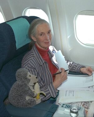 Jane Goodall Instagram - "The best advice I ever received was from my mother. She said: 'If you really want something, you have to work hard, take advantage of every opportunity, and never give up.'" - Dr. Jane Goodall, DBE

When young Jane dreamed of going to Africa to study animals, so many people told her it was impossible, dismissing her as, in Jane's words, "just a girl." But not her mother, Vanne. Jane often credited her mother's endless support as the reason she pursued her passion.

Jane went on to change science with her observations that chimpanzees make and use tools. At the time, it wasn't just remarkable for a woman to be in the field, studying wild animals as they lived — this practice of patient observation was virtually unheard of until Jane blazed the trail.

Today, countless scientists and conservationists credit Jane for inspiring their work, including so many women who saw themselves in Jane. Any time someone approached Jane to thank her for paving the way, she would recall her mother's words and reflect on how they went on to touch so many lives. As we celebrate #InternationalWomensDay today, let's honor Jane, and Vanne, by remembering their strength, resilience, and imperative to never give up.

📷: the Jane Goodall Institute, Hugo van Lawick

#IWD #IWD2026