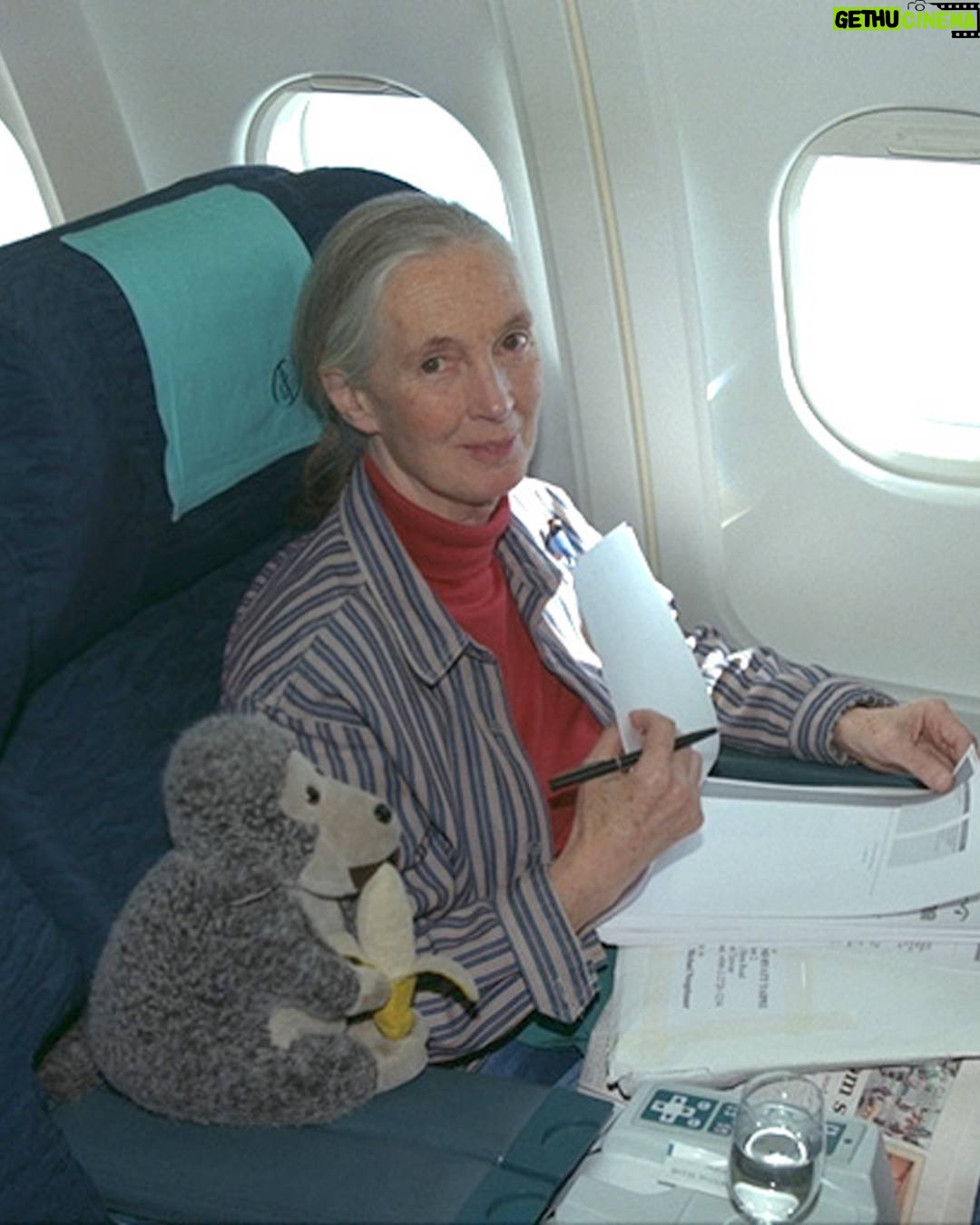 Jane Goodall - 44K Likes - "The best advice I ever received was from my mother. She said: 'If you really want something, you have to work hard, take advantage of every opportunity, and never give up.'" - Dr. Jane Goodall, DBE

When young Jane dreamed of going to Africa to study animals, so many people told her it was impossible, dismissing her as, in Jane's words, "just a girl." But not her mother, Vanne. Jane often credited her mother's endless support as the reason she pursued her passion.

Jane went on to change science with her observations that chimpanzees make and use tools. At the time, it wasn't just remarkable for a woman to be in the field, studying wild animals as they lived — this practice of patient observation was virtually unheard of until Jane blazed the trail.

Today, countless scientists and conservationists credit Jane for inspiring their work, including so many women who saw themselves in Jane. Any time someone approached Jane to thank her for paving the way, she would recall her mother's words and reflect on how they went on to touch so many lives. As we celebrate #InternationalWomensDay today, let's honor Jane, and Vanne, by remembering their strength, resilience, and imperative to never give up.

📷: the Jane Goodall Institute, Hugo van Lawick

#IWD #IWD2026