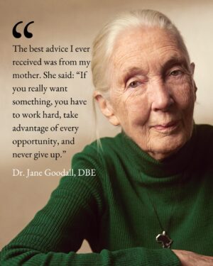 Jane Goodall Instagram - "The best advice I ever received was from my mother. She said: 'If you really want something, you have to work hard, take advantage of every opportunity, and never give up.'" - Dr. Jane Goodall, DBE

When young Jane dreamed of going to Africa to study animals, so many people told her it was impossible, dismissing her as, in Jane's words, "just a girl." But not her mother, Vanne. Jane often credited her mother's endless support as the reason she pursued her passion.

Jane went on to change science with her observations that chimpanzees make and use tools. At the time, it wasn't just remarkable for a woman to be in the field, studying wild animals as they lived — this practice of patient observation was virtually unheard of until Jane blazed the trail.

Today, countless scientists and conservationists credit Jane for inspiring their work, including so many women who saw themselves in Jane. Any time someone approached Jane to thank her for paving the way, she would recall her mother's words and reflect on how they went on to touch so many lives. As we celebrate #InternationalWomensDay today, let's honor Jane, and Vanne, by remembering their strength, resilience, and imperative to never give up.

📷: the Jane Goodall Institute, Hugo van Lawick

#IWD #IWD2026