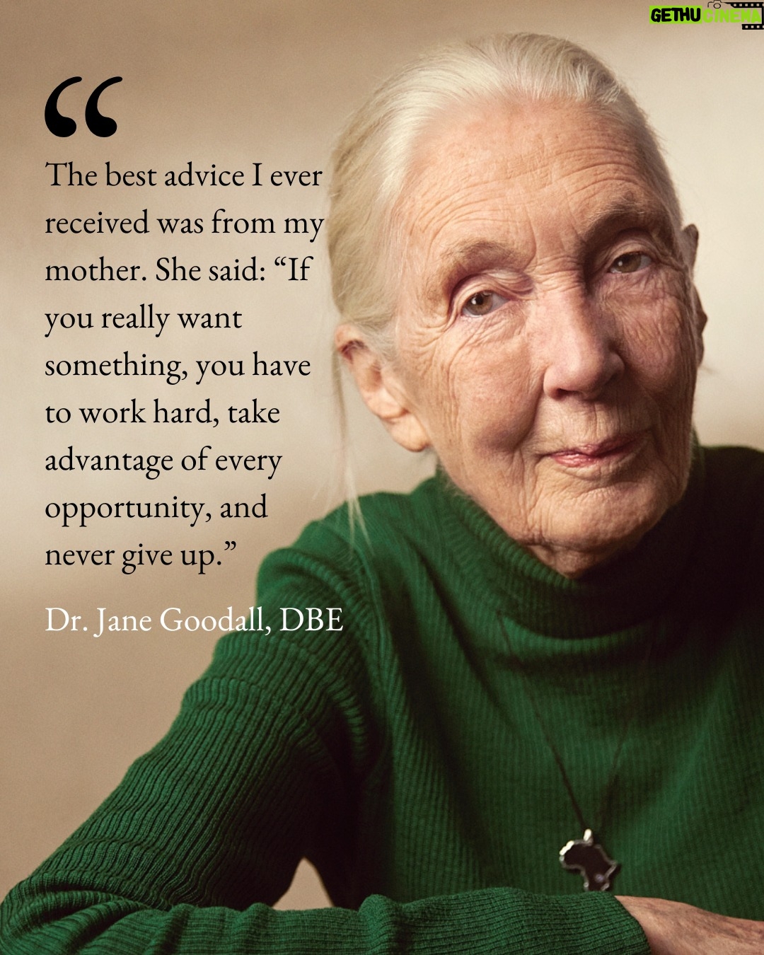 Jane Goodall - 44K Likes - "The best advice I ever received was from my mother. She said: 'If you really want something, you have to work hard, take advantage of every opportunity, and never give up.'" - Dr. Jane Goodall, DBE

When young Jane dreamed of going to Africa to study animals, so many people told her it was impossible, dismissing her as, in Jane's words, "just a girl." But not her mother, Vanne. Jane often credited her mother's endless support as the reason she pursued her passion.

Jane went on to change science with her observations that chimpanzees make and use tools. At the time, it wasn't just remarkable for a woman to be in the field, studying wild animals as they lived — this practice of patient observation was virtually unheard of until Jane blazed the trail.

Today, countless scientists and conservationists credit Jane for inspiring their work, including so many women who saw themselves in Jane. Any time someone approached Jane to thank her for paving the way, she would recall her mother's words and reflect on how they went on to touch so many lives. As we celebrate #InternationalWomensDay today, let's honor Jane, and Vanne, by remembering their strength, resilience, and imperative to never give up.

📷: the Jane Goodall Institute, Hugo van Lawick

#IWD #IWD2026