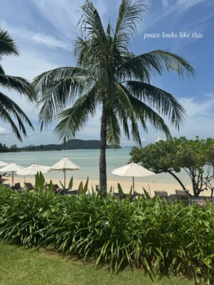Jasmine Sidhu Instagram - don’t book before this → swipe

Location- @pullmanphuketpanwa 

#phuketstagram #phukethotel #phuketholiday #phuketluxury #luxuryvilla