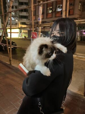 Jessica Ho Lok Yiu Instagram - 新年:貓貓 人人人人人 聽聽睇睇 彈彈唱唱 跑跑跑 諗諗諗諗諗諗諗諗諗諗諗諗諗諗諗諗諗諗 大嗌
此人充滿電去工作同修練了🆙🆙💪🏻