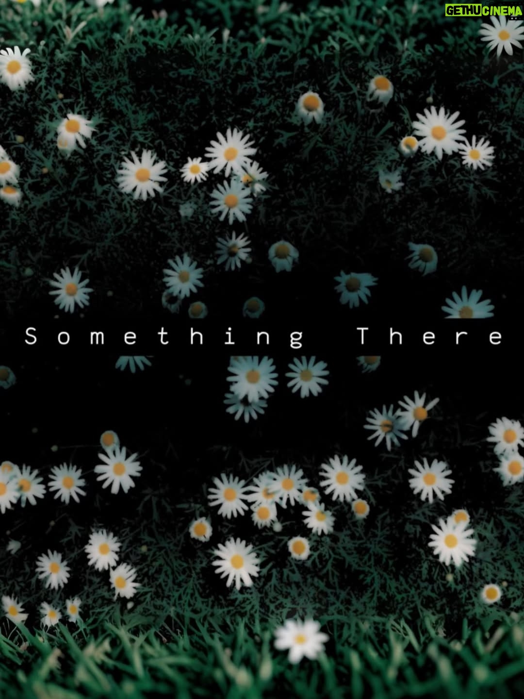 Jessica Lowndes - 367 Likes - “Something There” is out now anywhere you stream music!💛🌻✨ (link in bio)