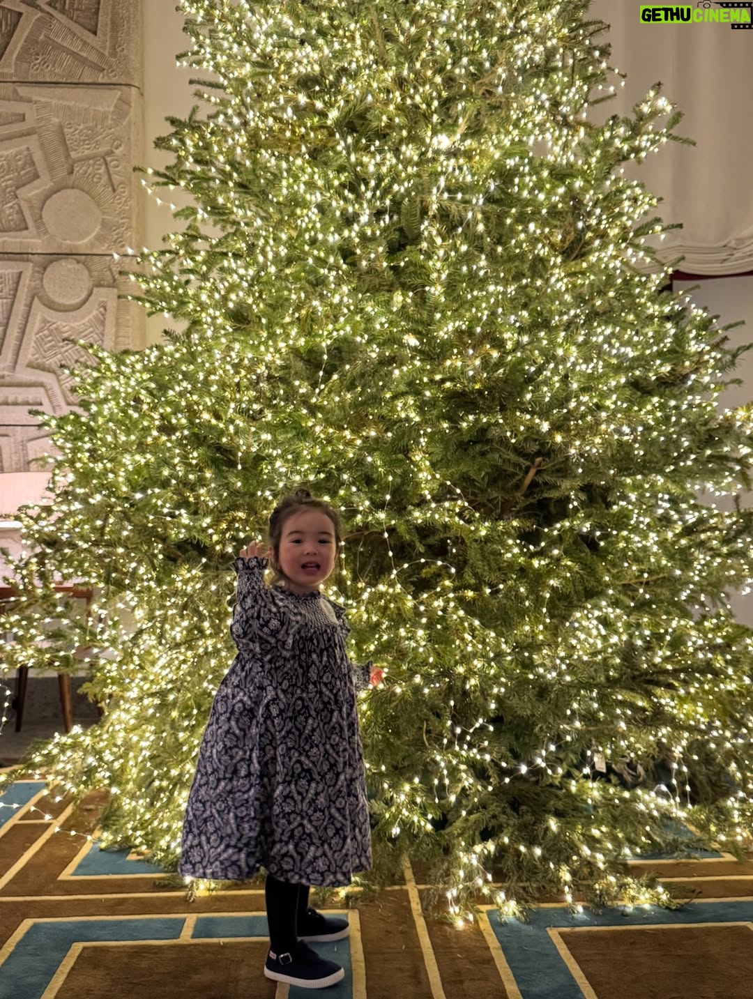 Julie Estelle - 26.6K Likes - The most beautiful season of the year🎄✨