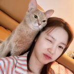 Jun Hyo-seong