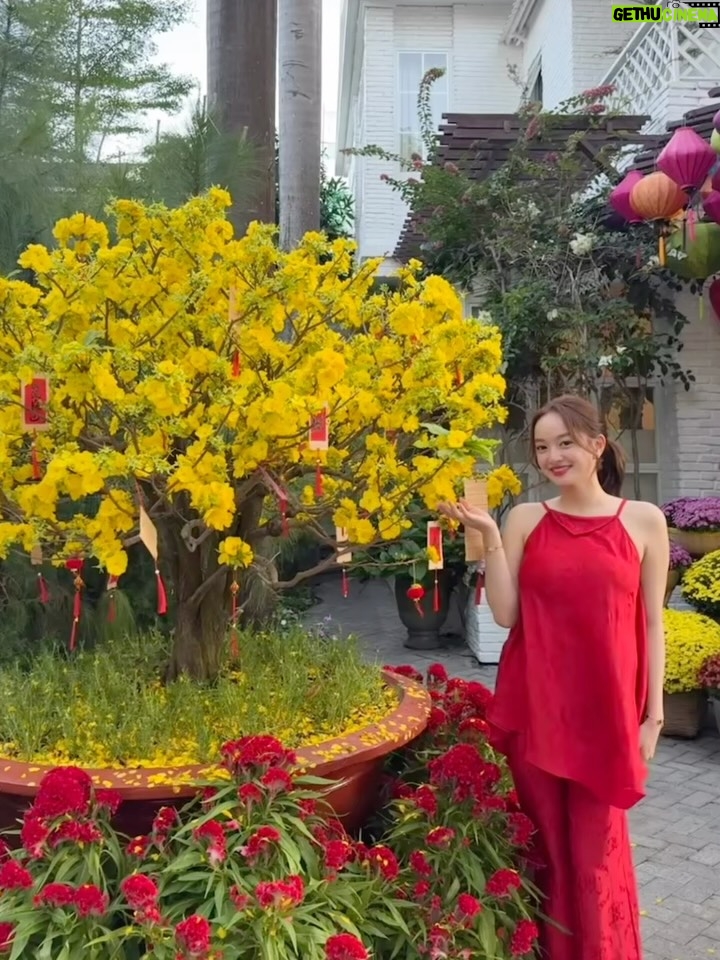 Kaity Nguyễn - 32.2K Likes - 🧧🧧🧧