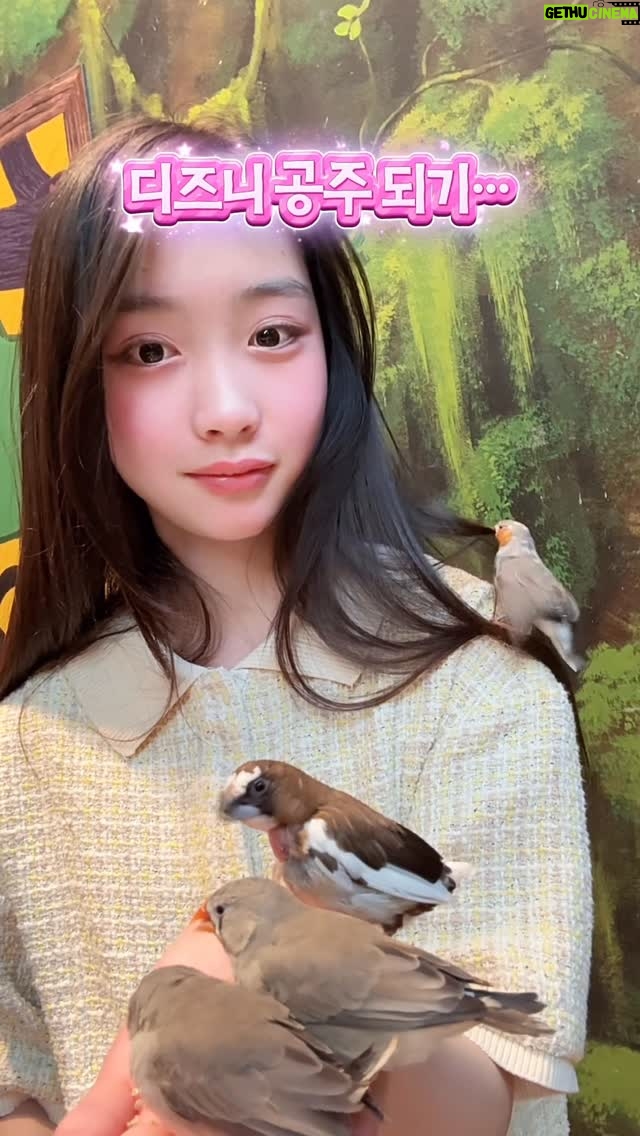 Kang Hye-rin - 865 Likes - 예쁘고 귀여워서 난리 쳐도 내버려 둘 수 밖에 없어🕊️
저 자리에서만 1시간.. ㅋㅋ
난 자꾸 나홀로집에 비둘기아줌마 생각나는데…
혜린이는 비둘기아줌마 누군지 모름
 
 
 
 
#혜린_tv #새스타그램 #주렁주렁타임스퀘어 #새모이체험