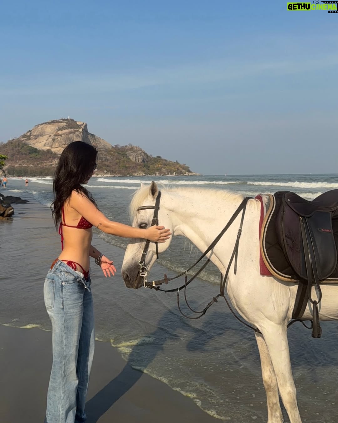 Kanyaphak Pongsak - 14.2K Likes - เจนนี่ไม่ชอบสีแดง🫣🍎🐎ฮี่ๆ

👙 @meskmuse
👖 @quince.bkk