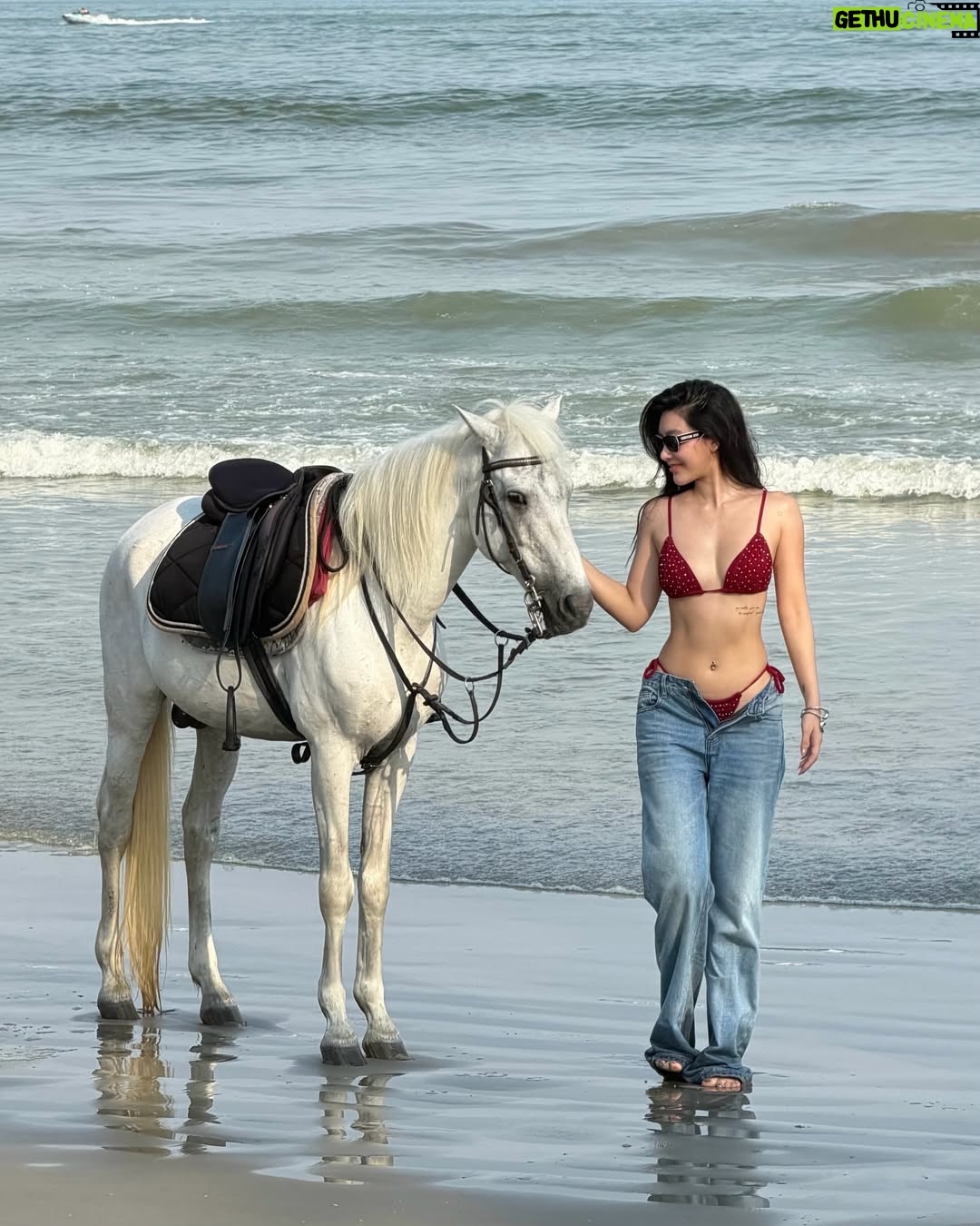 Kanyaphak Pongsak - 14.2K Likes - เจนนี่ไม่ชอบสีแดง🫣🍎🐎ฮี่ๆ

👙 @meskmuse
👖 @quince.bkk
