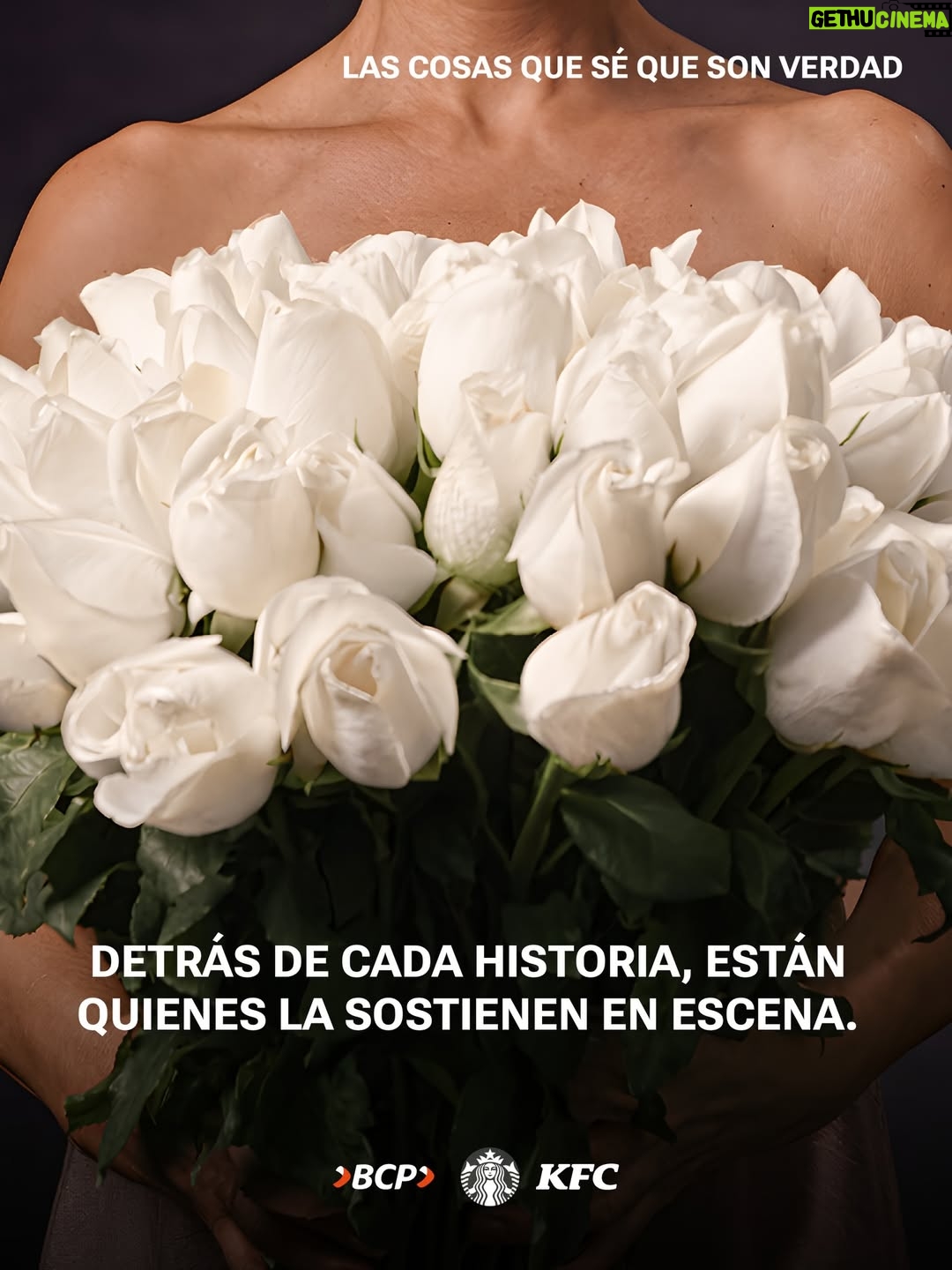 Karina Jordán - 477 Likes - Te presentamos al elenco de “LAS COSAS QUE SÉ QUE SON VERDAD”🤍🌹

Actores que darán vida a una familia que podría ser la de cualquiera de nosotros.
Una historia que nos hará emocionarnos, sonreír, llorar y, quizá, reconocernos en escena.

Elenco:
Mónica Sánchez, Carlos Mesta, Karina Jordán, Sebastián Ramos, Verónica Infantes, Pedro Ibáñez.

LAS COSAS QUE SÉ QUE SON VERDAD
Escrita por Andrew Bovell, Dirigida por K’intu Galiano.
ESTRENO: 28 DE MARZO

🎟️Compra tus entradas en preventa a S/49 y asegura los mejores asientos en el teatro.
🎟️Entradas en el link de nuestro perfil, en la boletería del teatro desde las 3pm, o al WhatsApp 941 365 092.

Gracias a KFC, Starbucks y ВСР.
