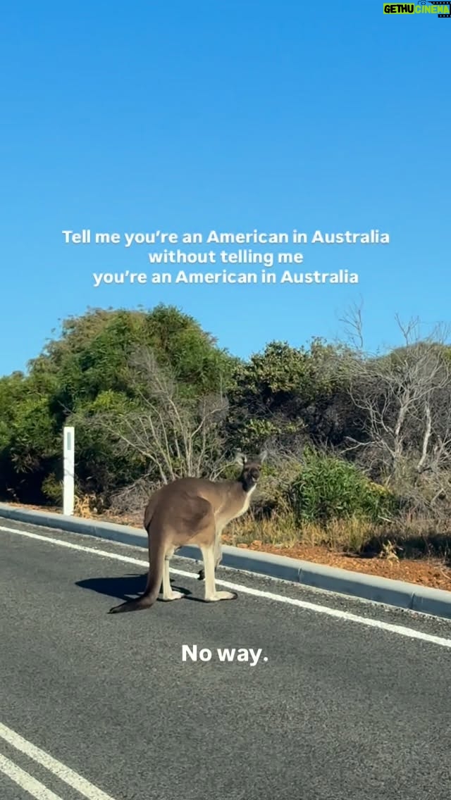 Kelley O'Hara - 69.7K Likes - Apparently kangaroos in Australia are like deer in America so sorry if this was an overreaction 🦘
