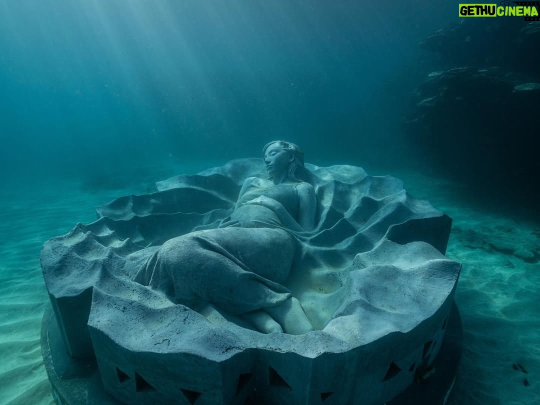 Kiko Mizuhara - 117.4K Likes - このたび、私の大好きな徳之島の海に誕生した
Jason Decaires Taylor @jasondecairestaylor の
⽔中彫刻「オーシャン・ガイア」という特別なプロジェクトに参加できたことを、心から光栄に思います🌊🤍

このプロジェクトは、構想から完成まで
約2年間にわたって準備を重ねてきたもの。
たくさんの方々の想いと力が重なって、
この日を迎えることができました。

作品は、岸からほど近い徳之島の沖合・水深5メートルの海底に静かに横たわる彫刻で、私の穏やかな表情をかたどってつくられています。高さ2メートル、幅5.5メートル、重量45トン。日本で初めてとなる本格的な水中彫刻です。

サンゴ礁の一部として設置され、外周には魚や海の生きものたちが自由に出入りできる開口部があり、アートでありながら新しい生態系の“住処”にもなっています。
やわらかく渦を描くフォルムは、 アマミホシゾラフグ がつくる精巧な砂模様や、島の山並みをモチーフにしています。

高い出生率と長寿で知られる徳之島。
島の中央に連なる山脈は妊婦の姿を思わせる優しいシルエットで、この島の自然と「命」のイメージは作品と深く響き合っています🌬️

「オーシャン・ガイア」は、母なる地球＝ガイアの神話から
インスピレーションを受け、人と海、
そして命の循環を結び直す象徴として誕生しました🌿

近年、島を離れる若者が増える中、この作品が若い世代に海や自然、文化への関心を呼び起こし、未来へとつながるきっかけになることを願っています。そして、1人でも多くの方がこの作品をきっかけに海をもっと好きになり、自然に目を向けてくれたらうれしいです❤️

海の中で「オーシャン・ガイア」が海とともに呼吸をはじめた特別な瞬間に立ち会えたことは、一生忘れられない誕生日の思い出です。

この海に静かに息づき、サンゴや生きものたちの住処になり、長い時間をかけて物語を紡いでいく姿を楽しみにしています🌊✨

徳之島の皆さん、本当にありがとうございました❤️