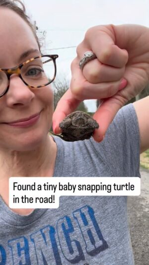 Kimberly Williams-Paisley Instagram - Daring snapping turtle rescue! 😁😁 🐢🐢 #saturday