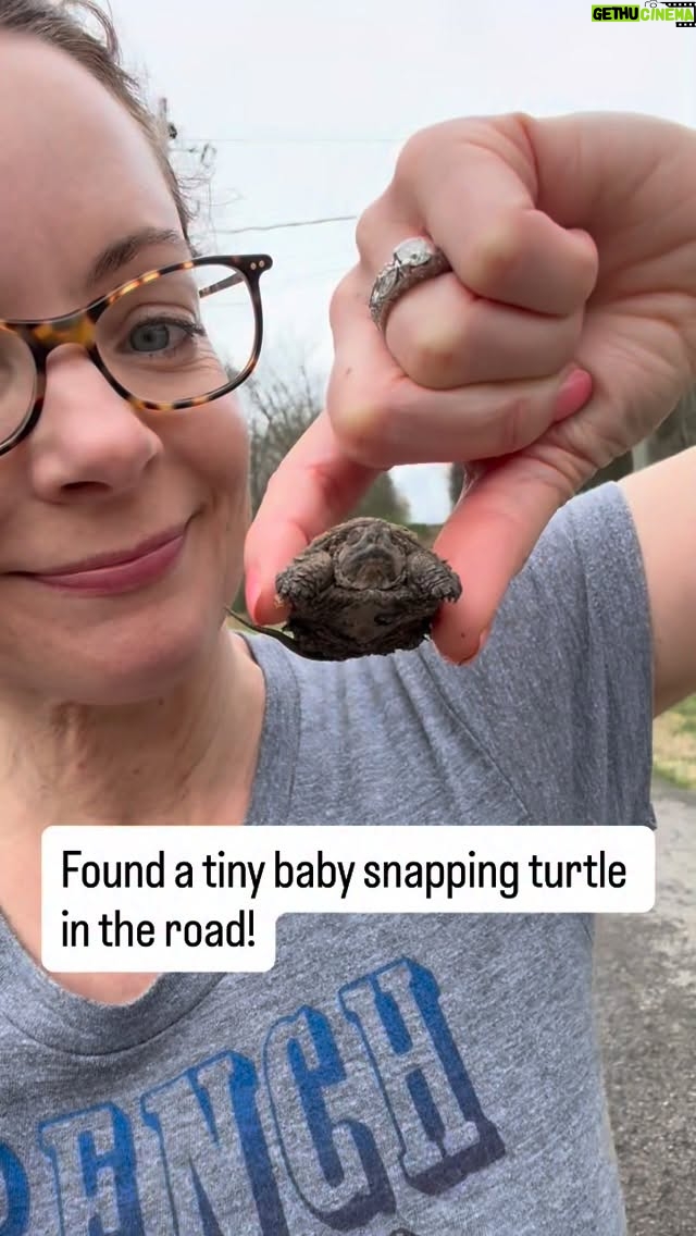 Kimberly Williams-Paisley - 16K Likes - Daring snapping turtle rescue! 😁😁 🐢🐢 #saturday