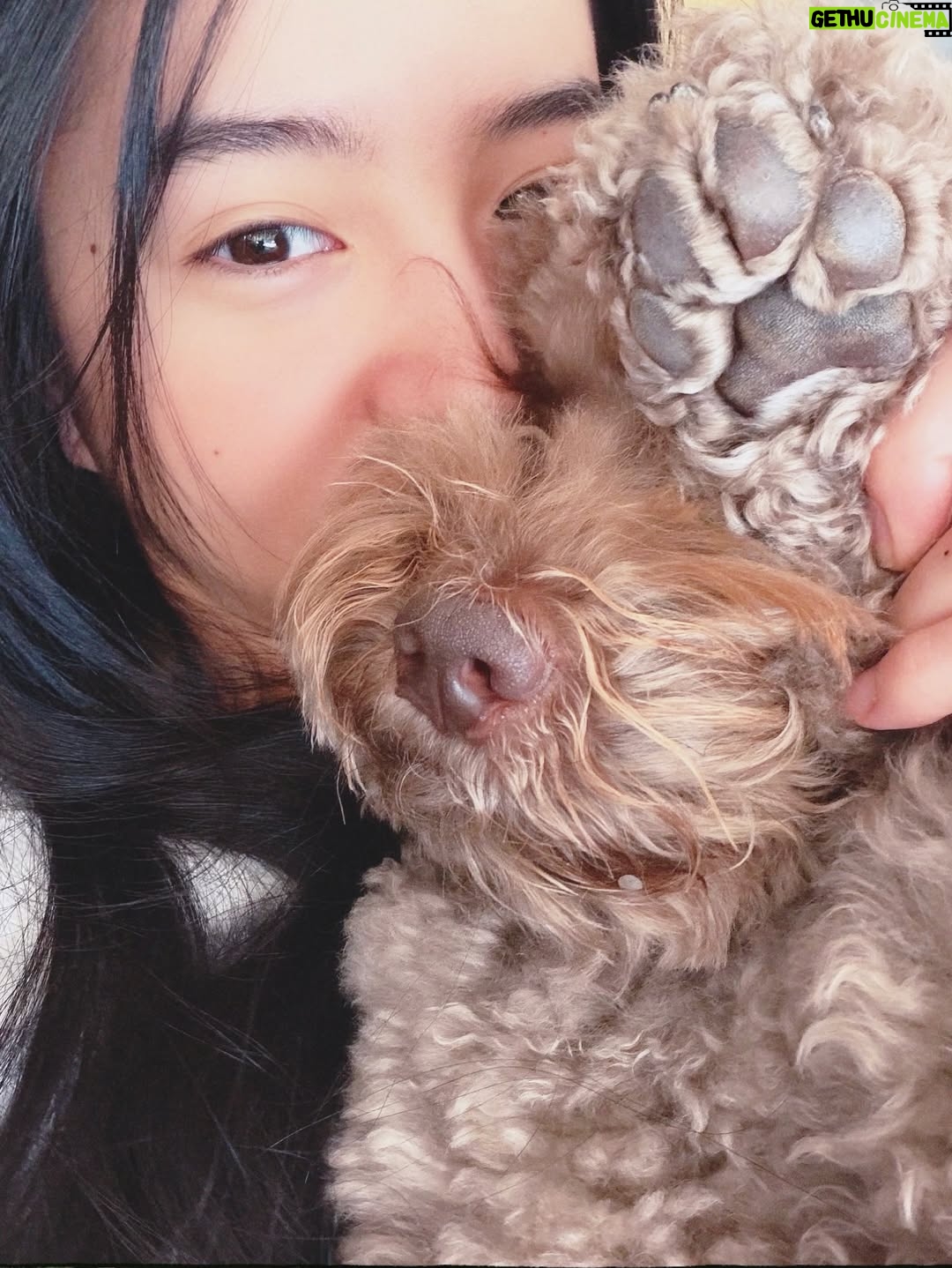 Kōki - 68.6K Likes - 23❤️

いつも温かく応援してくださる皆さま、沢山の素敵なメッセージを本当にありがとうございます。
皆さんの言葉に支えられながら、今年も前向きに、一歩一歩成長していけるよう頑張ります！
これからもどうぞよろしくお願いします☺️