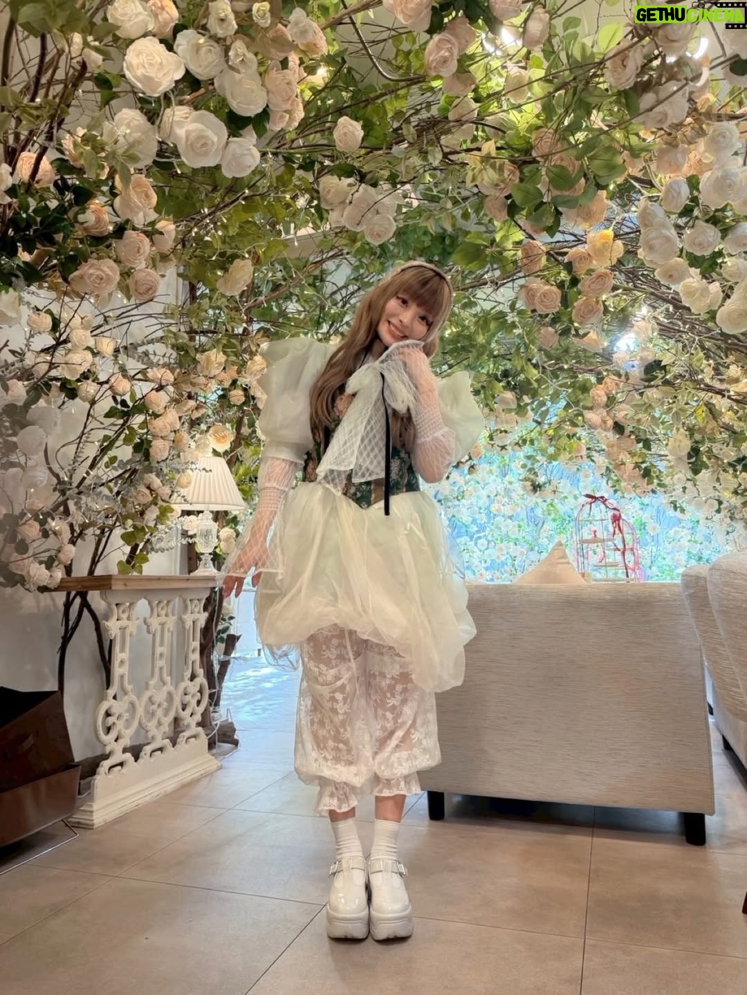 Kyary Pamyu Pamyu - 18.8K Likes - Afternoon Tea Party
~Kyary’s Birthday ~3♡3
ありがとうございました！
みんなとゆっくりお茶しながらお話しできて本当に楽しかった〜！！！

実は3部ぜんぶ衣装もヘアメイクも違ったんだよ〜！またやろうね🫖良かったら感想も教えてね