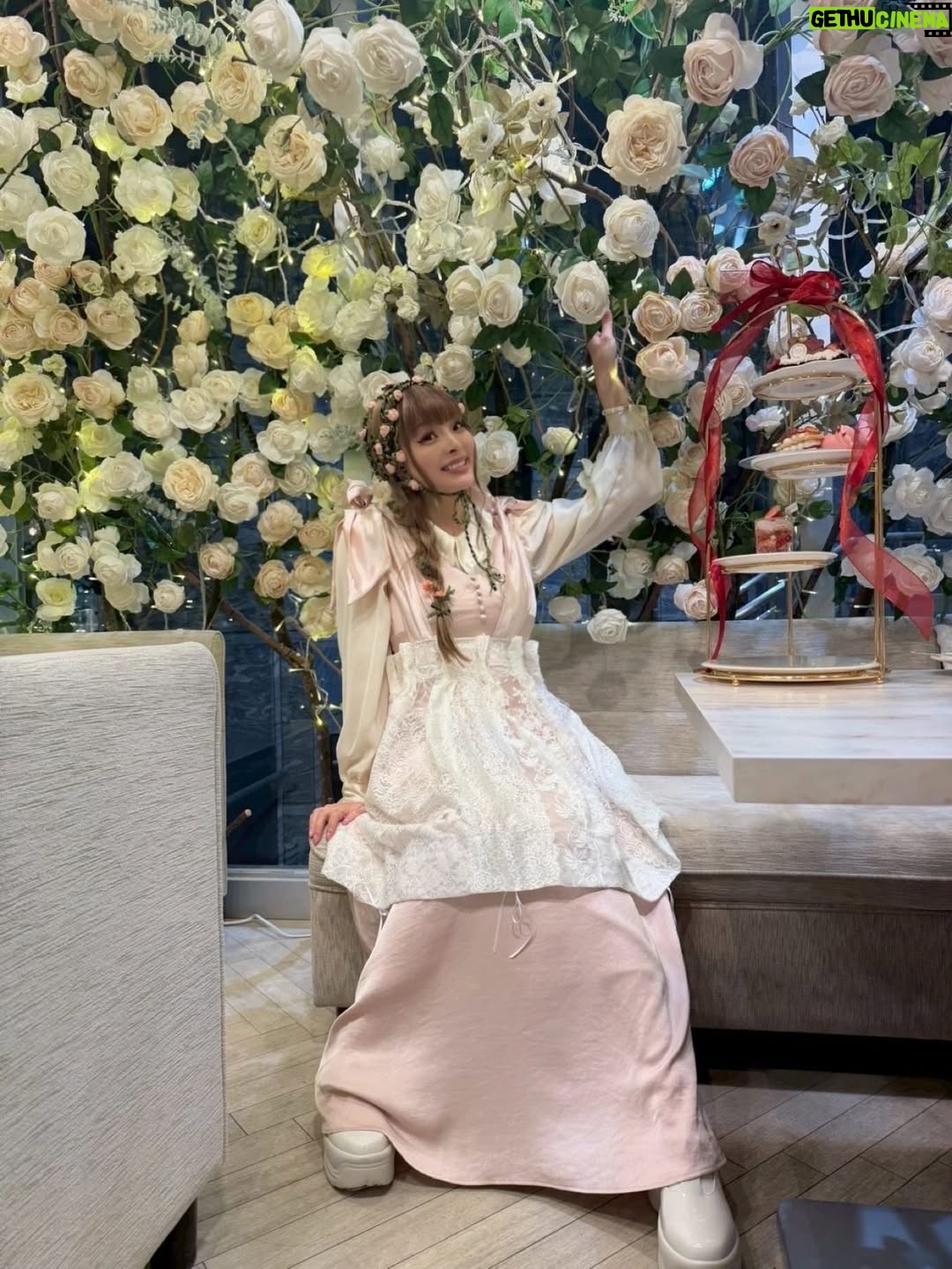 Kyary Pamyu Pamyu - 18.8K Likes - Afternoon Tea Party
~Kyary’s Birthday ~3♡3
ありがとうございました！
みんなとゆっくりお茶しながらお話しできて本当に楽しかった〜！！！

実は3部ぜんぶ衣装もヘアメイクも違ったんだよ〜！またやろうね🫖良かったら感想も教えてね