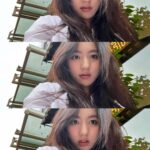Lami