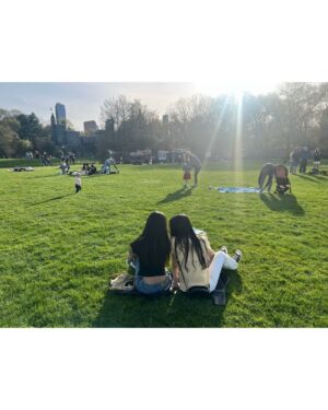 Lami Instagram - 햇살과 바람 그리고 나무가 함께한 소풍